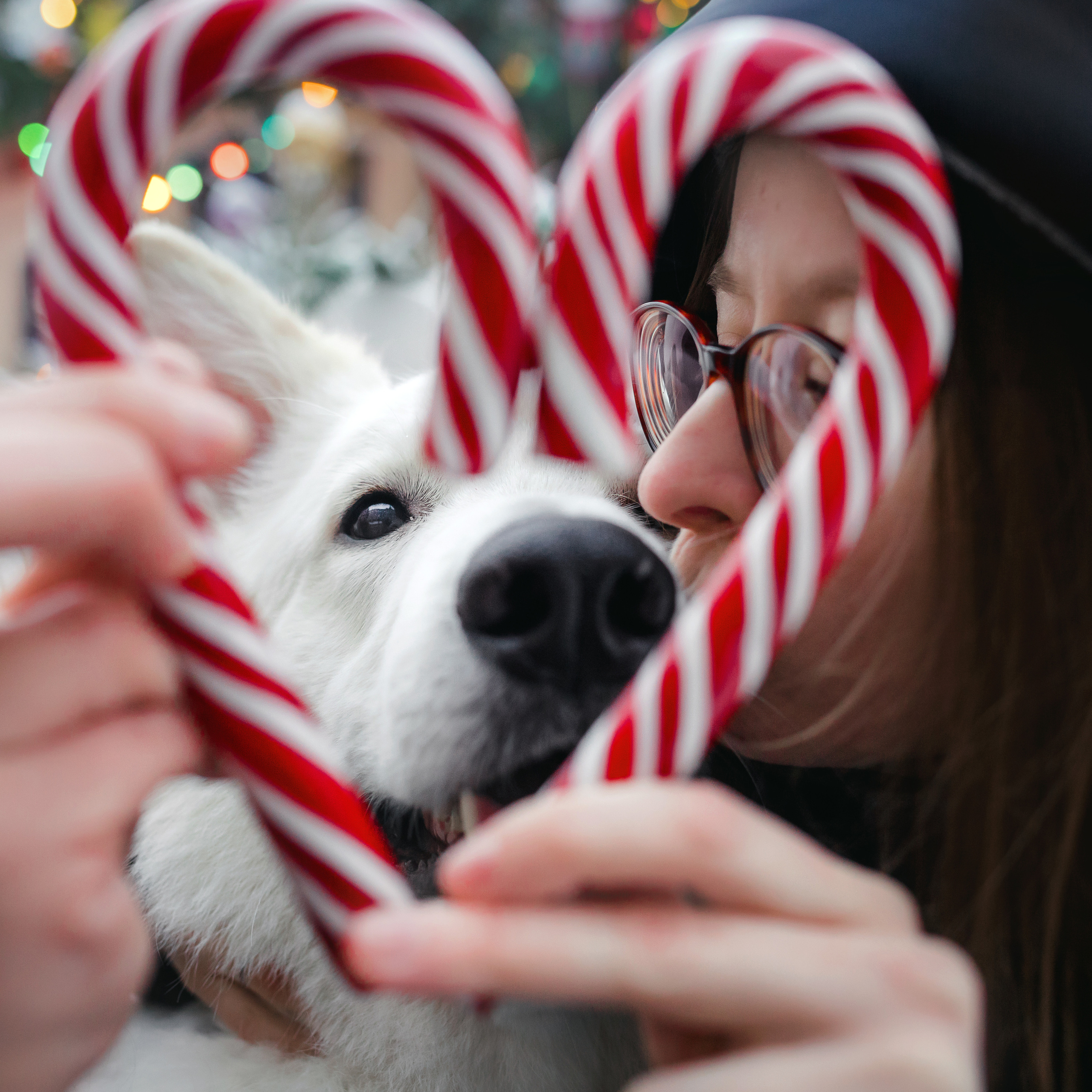 Света, Юля и Олаф