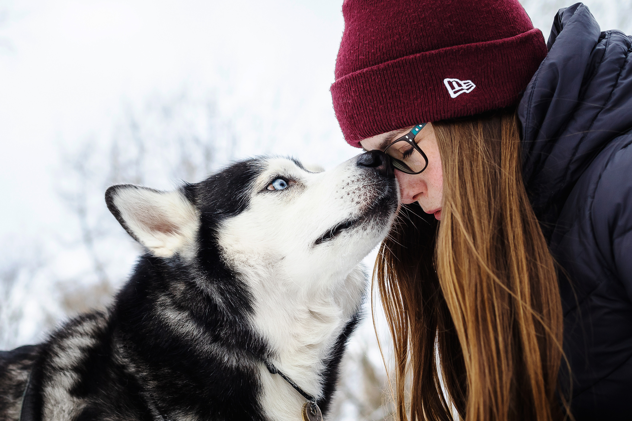 Фотосессия с собакой зимой