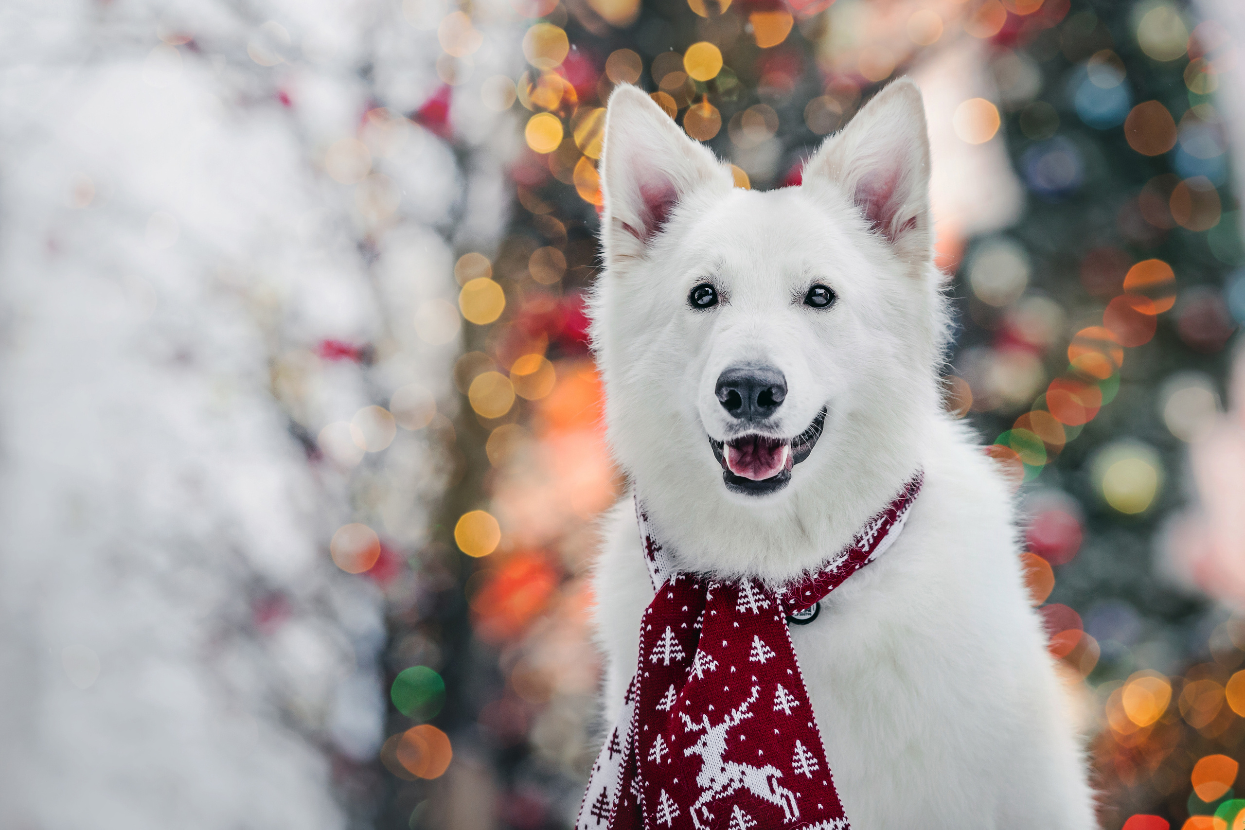 Света, Юля и Олаф