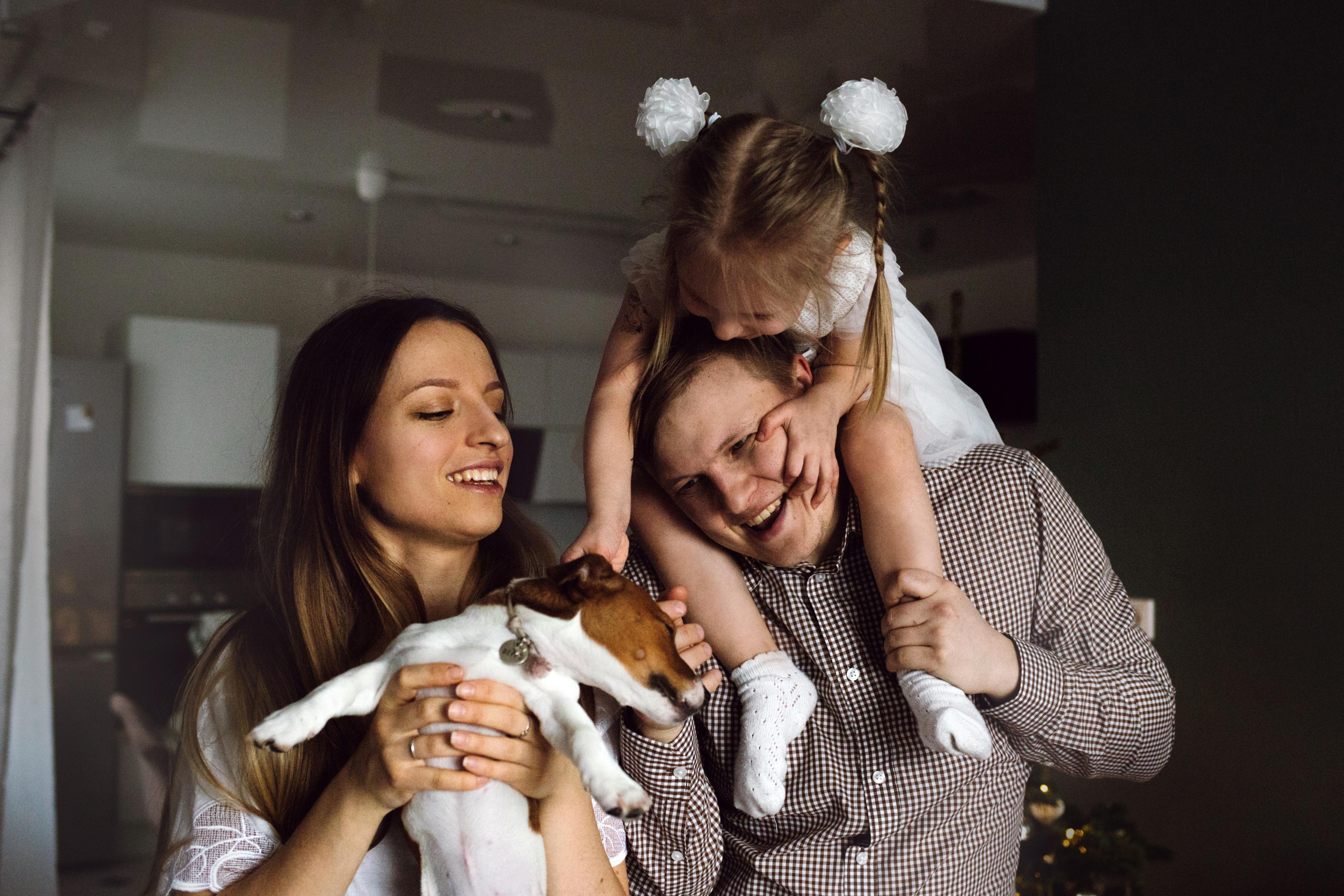 Новогодняя домашняя фотосессия с собакой