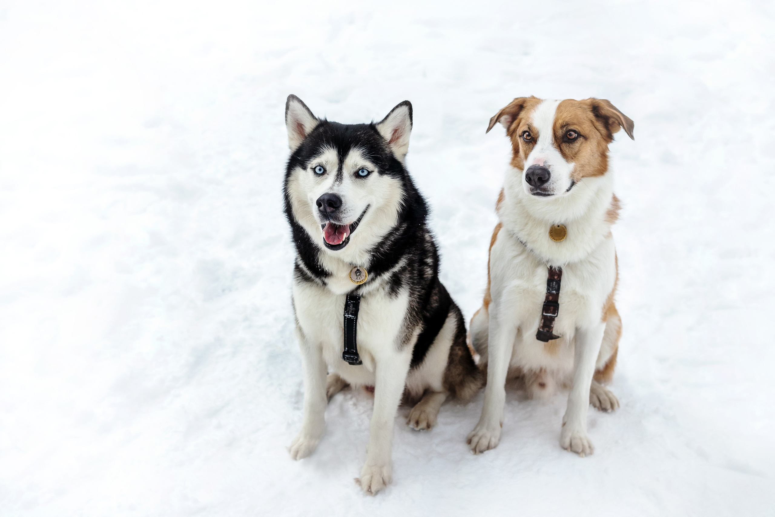Зимняя фотосессия в парке Коломенское