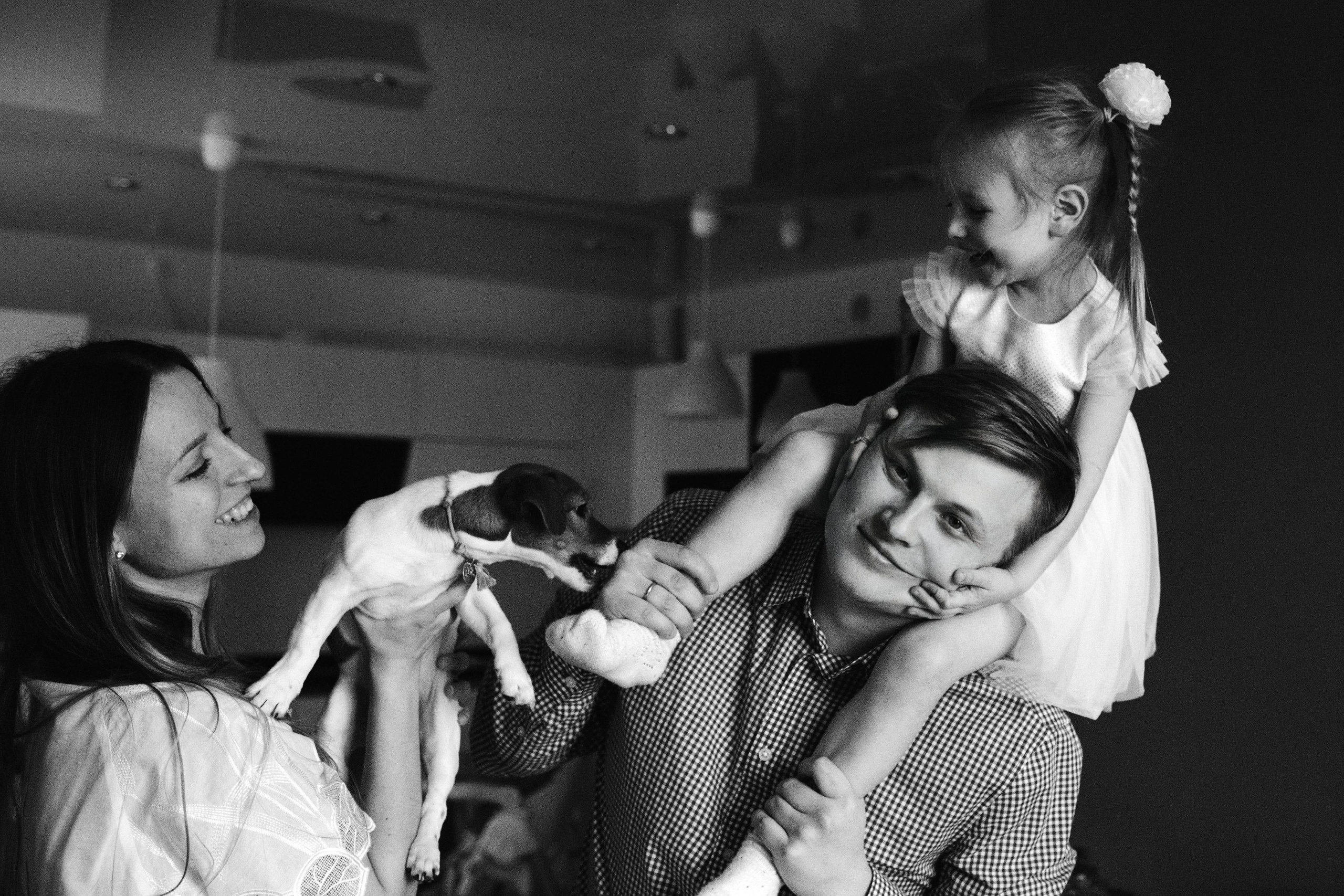 Новогодняя домашняя фотосессия с собакой