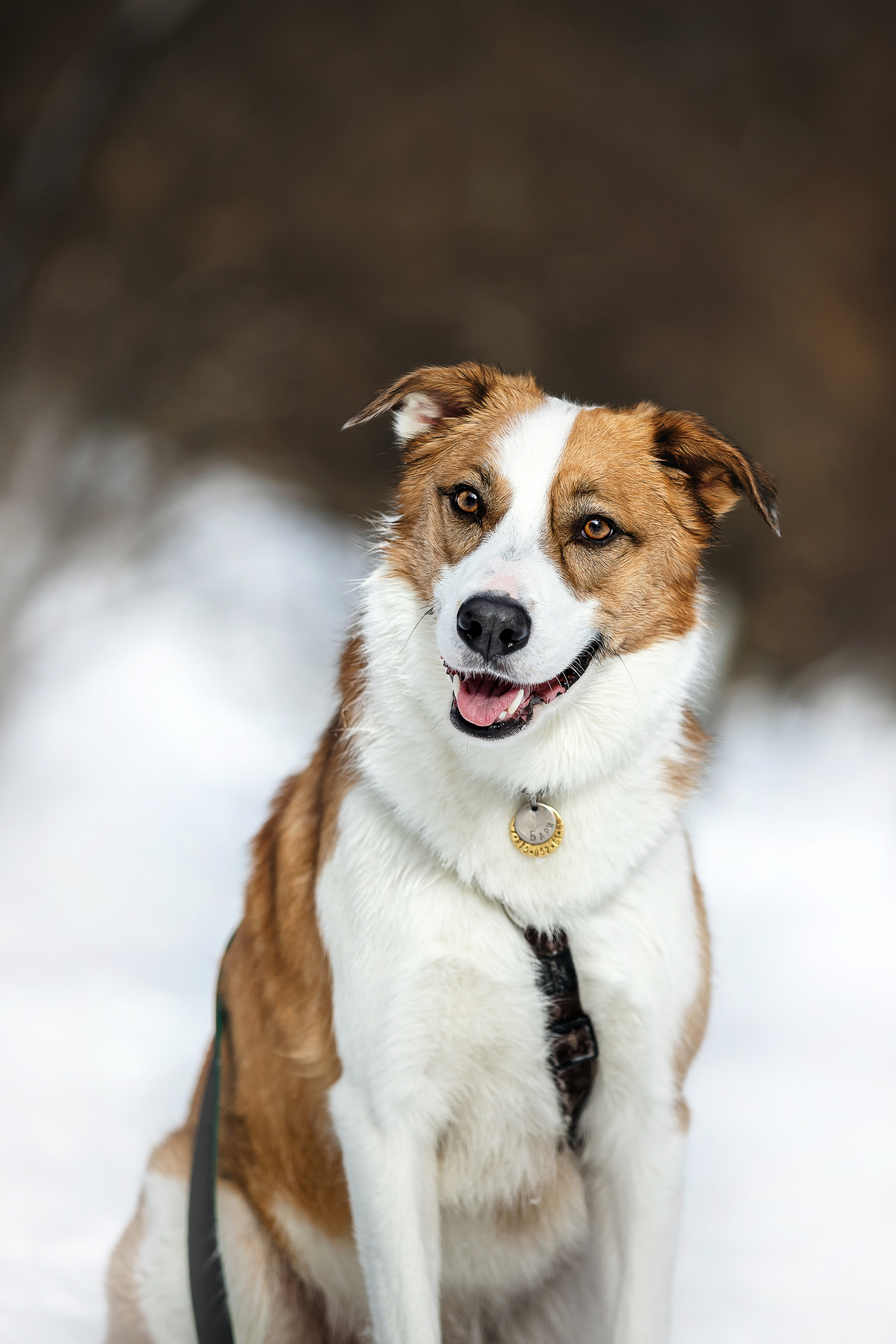 Фотосессия в парке Коломенское