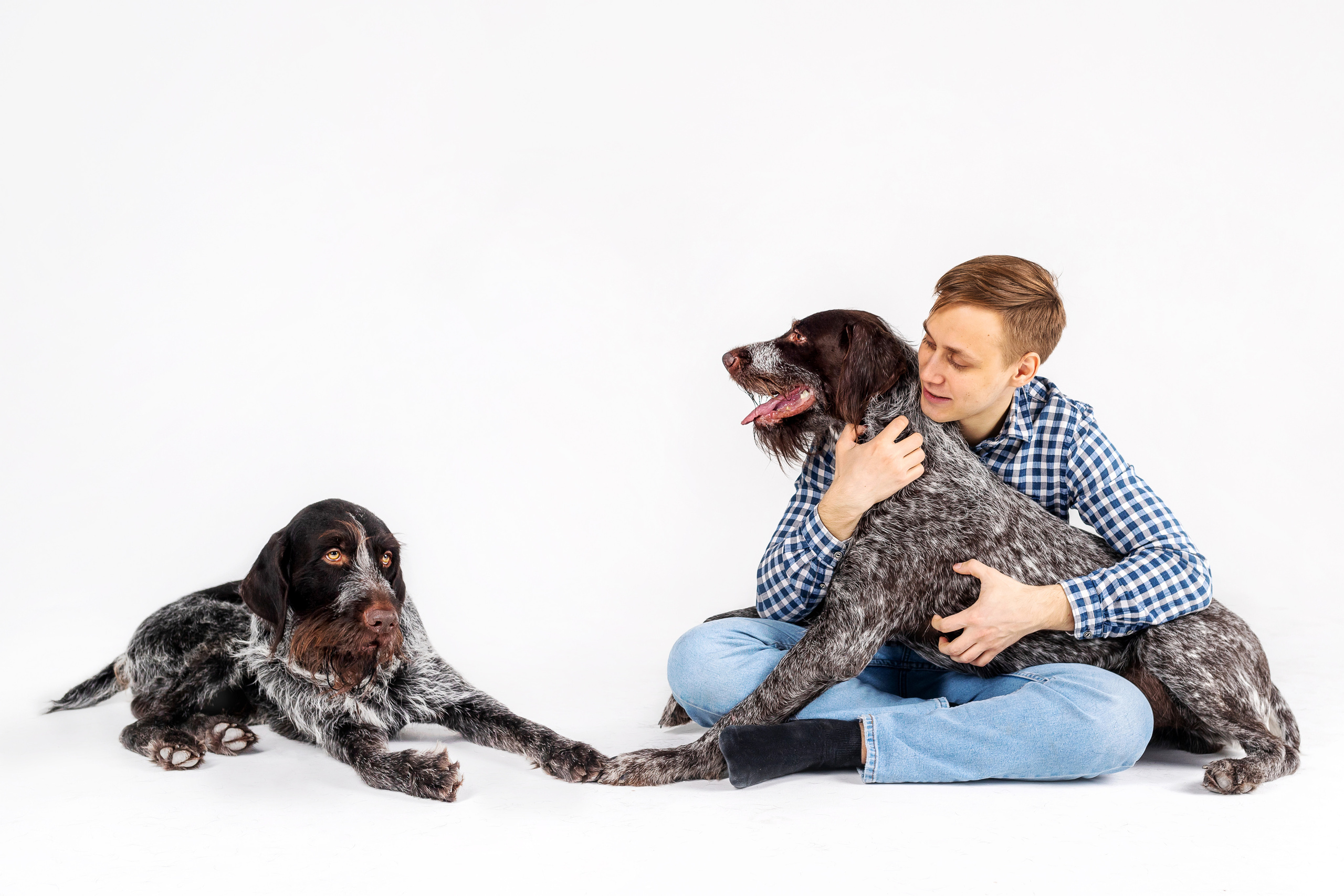 Фотосессия для бренда натуральной еды для собак