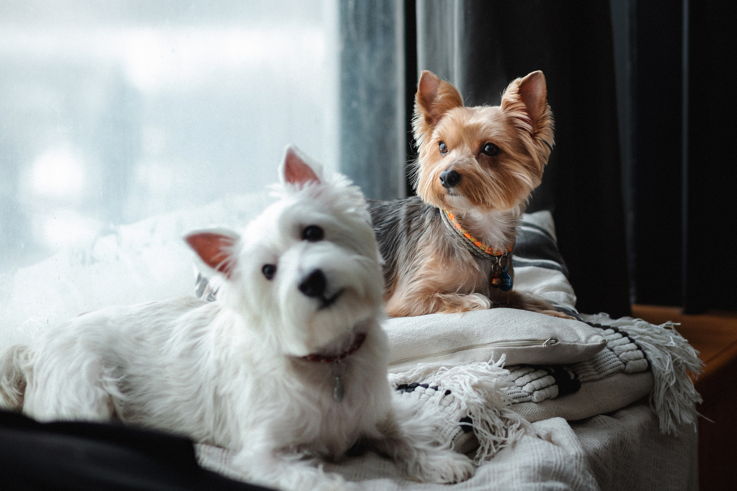 Фотосессия с Семеном и Винни