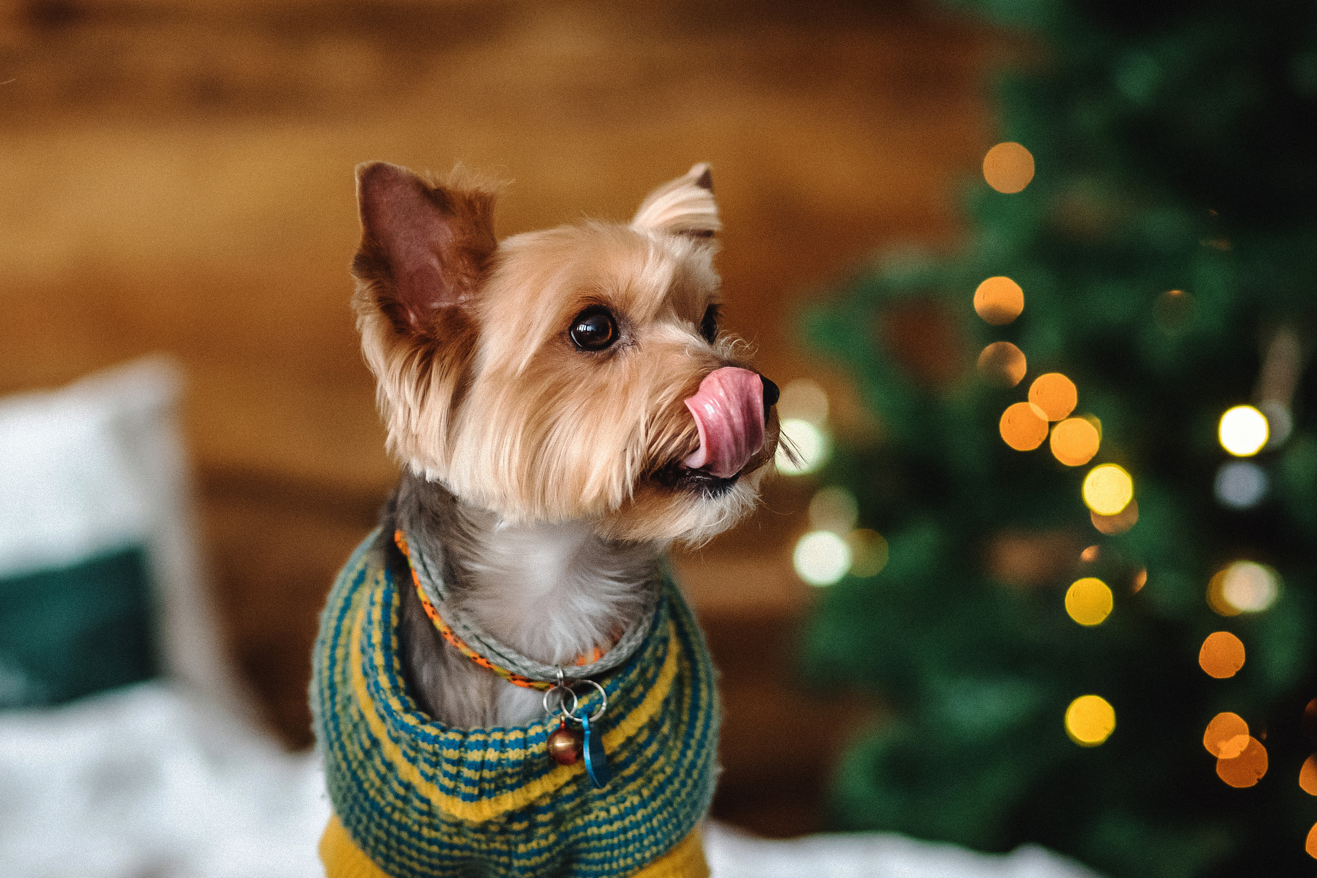 Фотосессия с Семеном и Винни