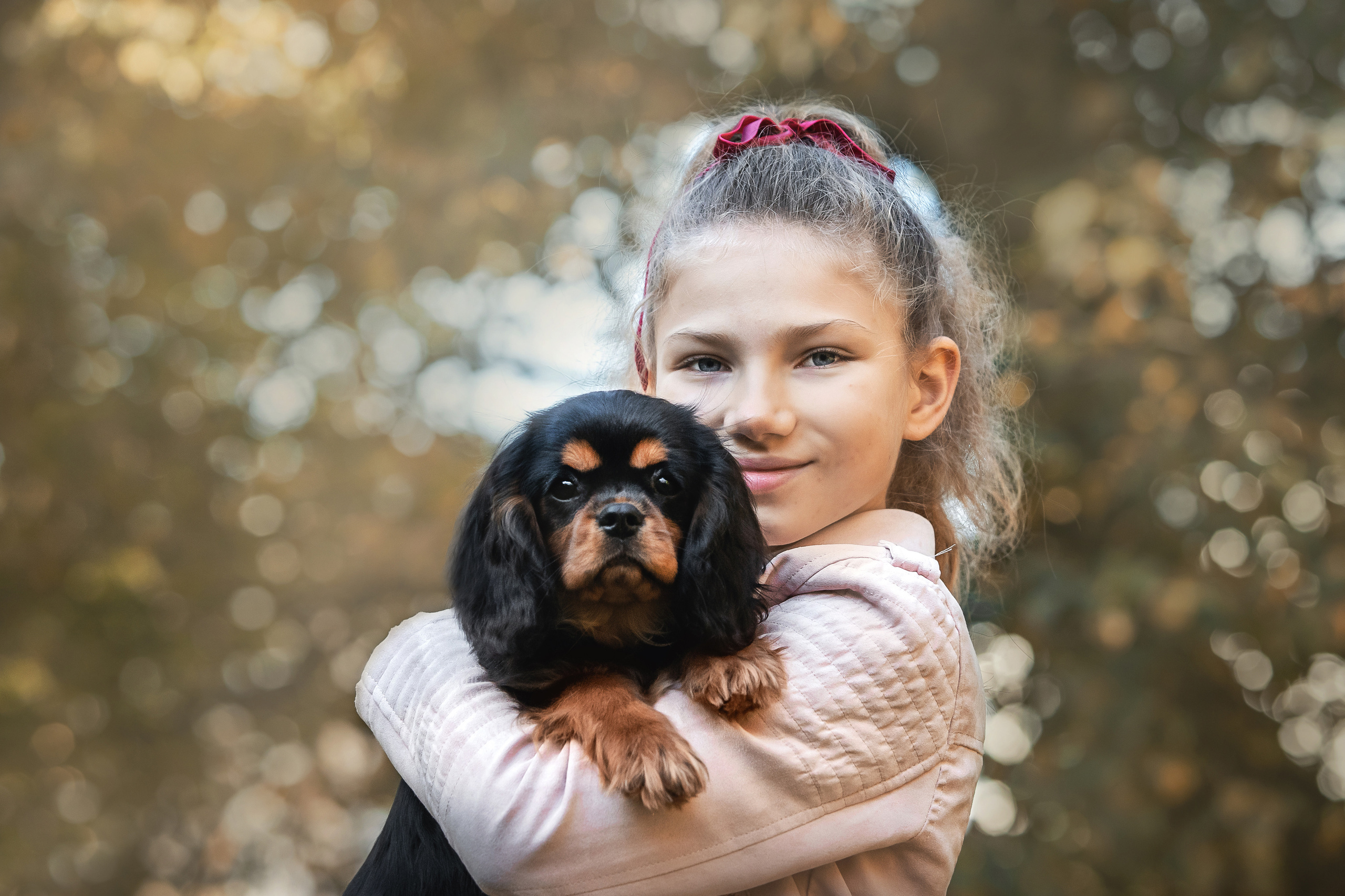 Фотосессия кавалер-кинг-чарльз-спаниелями