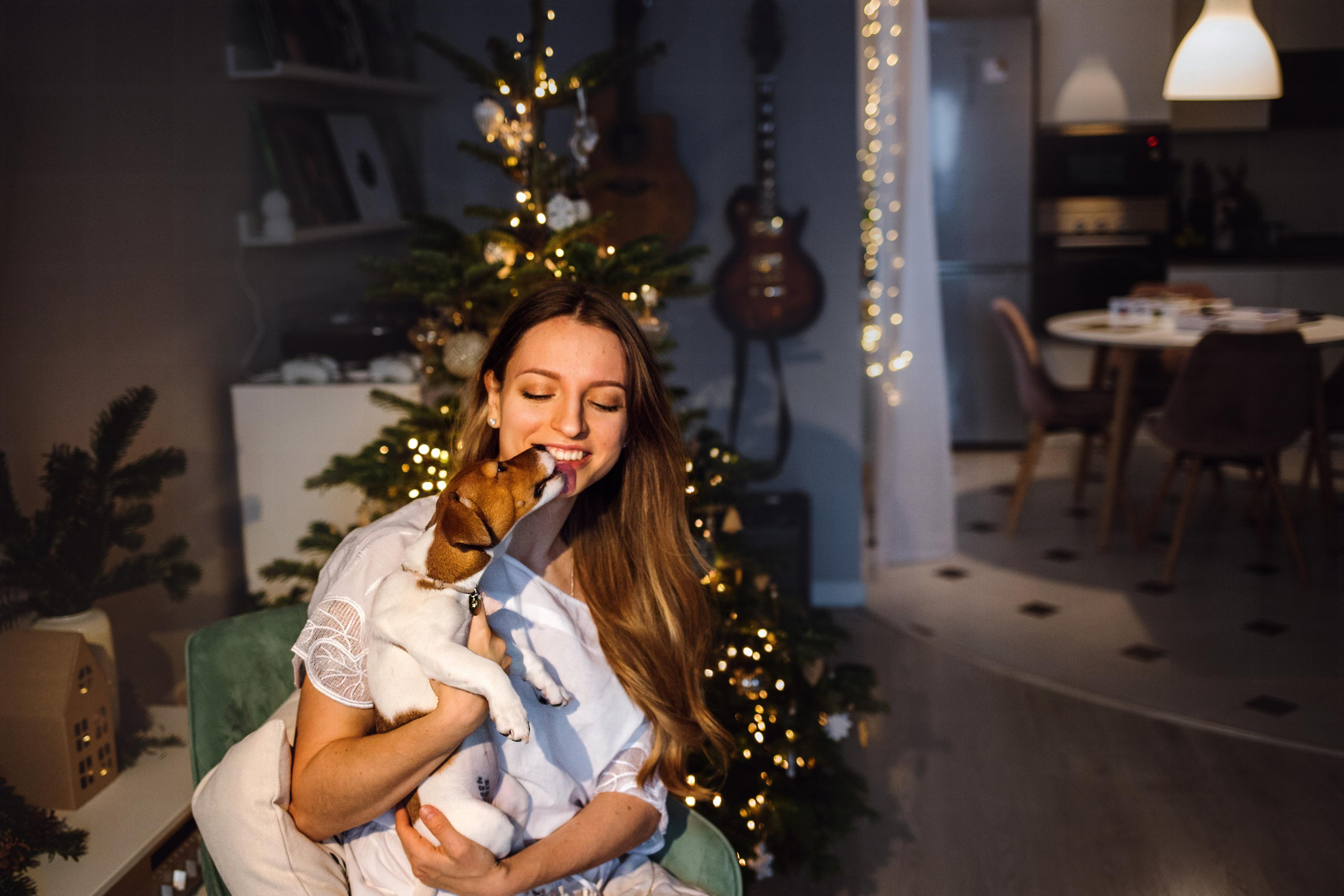 Новогодняя домашняя фотосессия с собакой