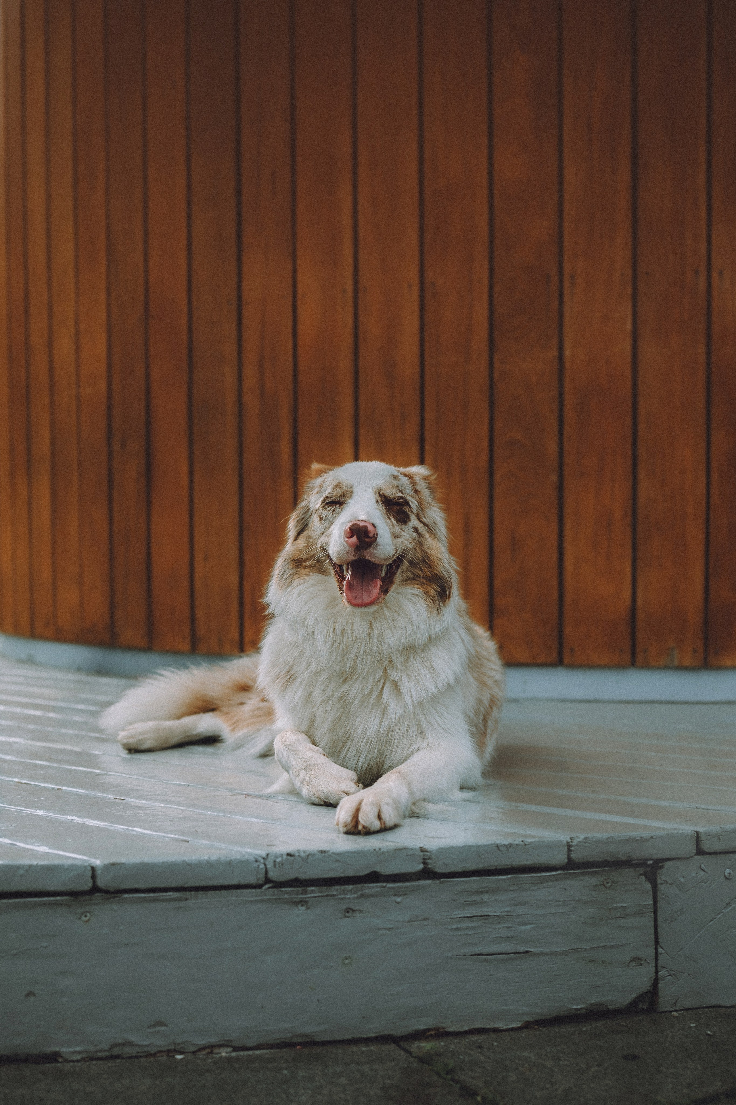 Один и его семья