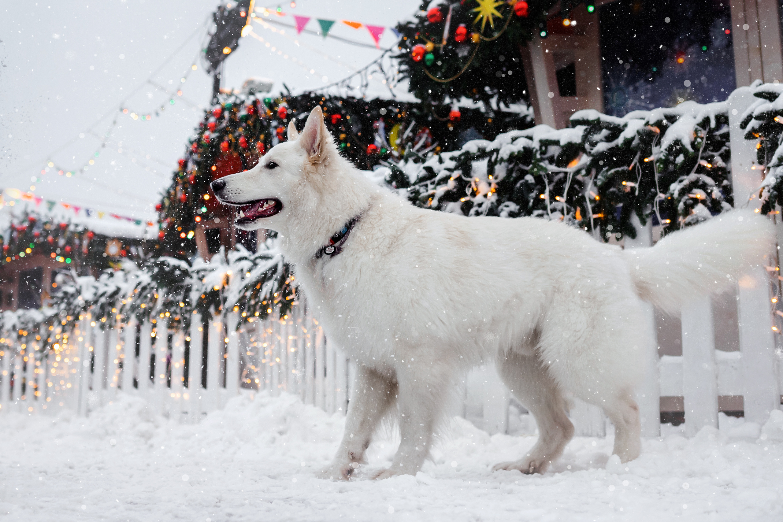 Света, Юля и Олаф