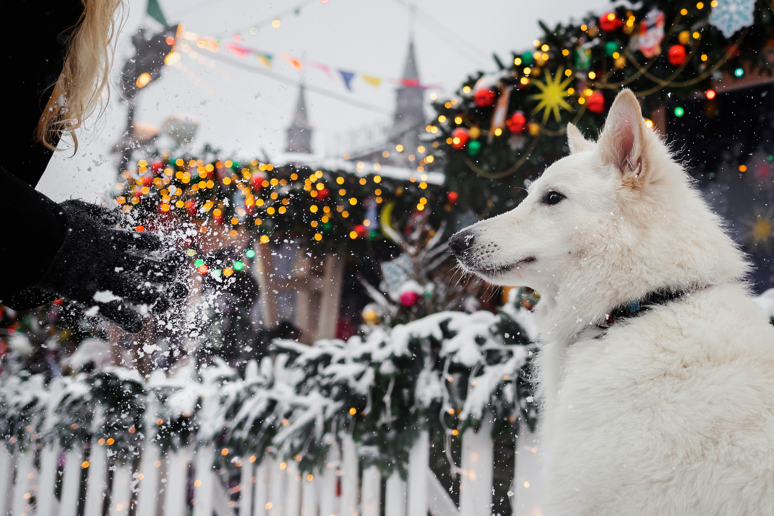 Света, Юля и Олаф