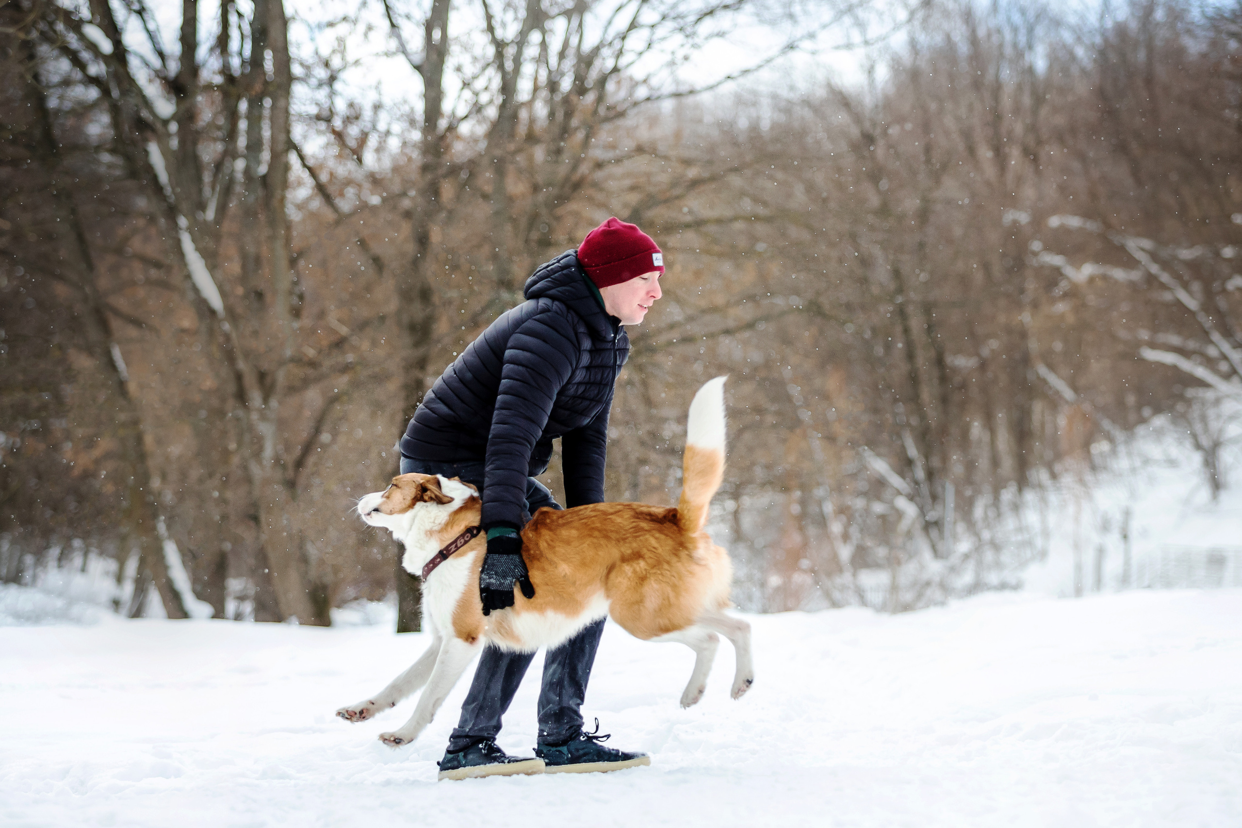 Фотосессия с собакой зимой
