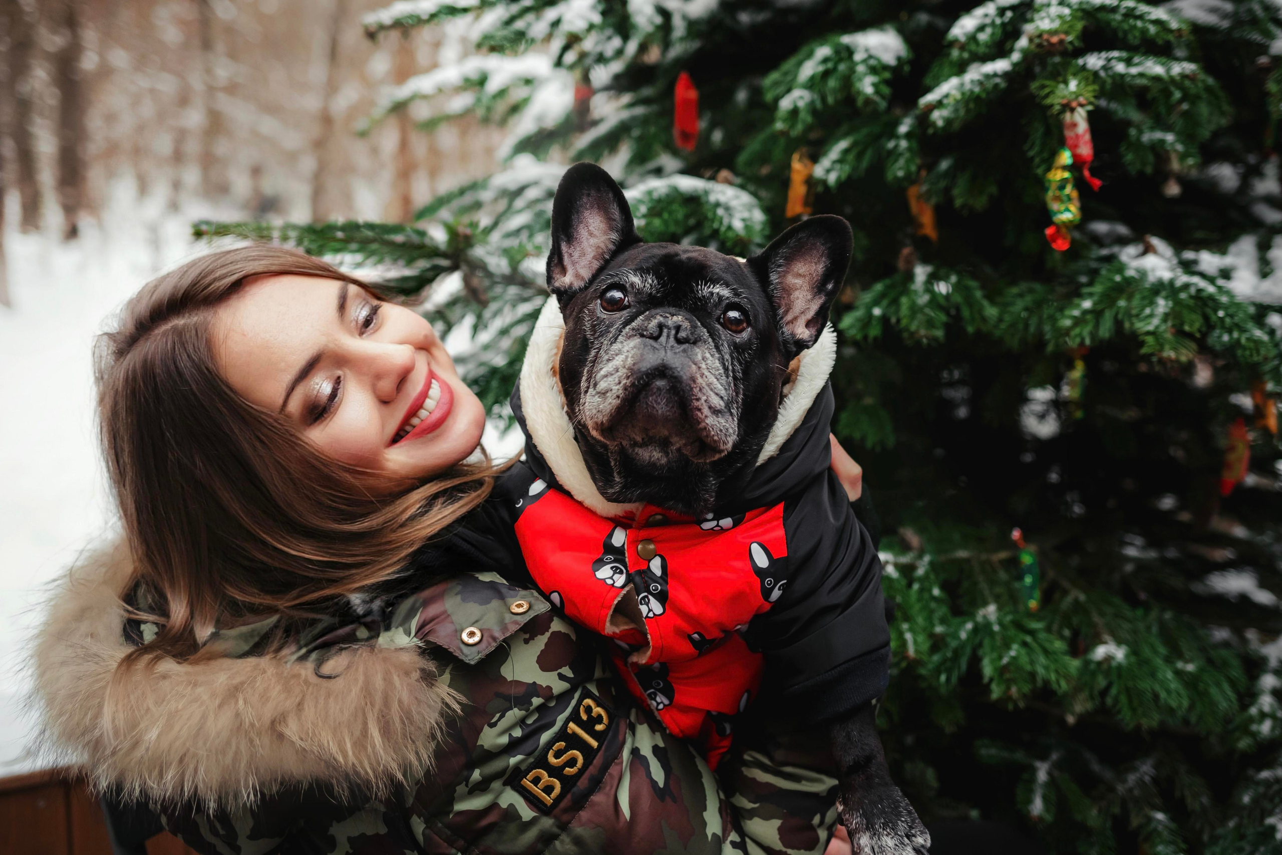 Фотосессия с бульдогом Жулей