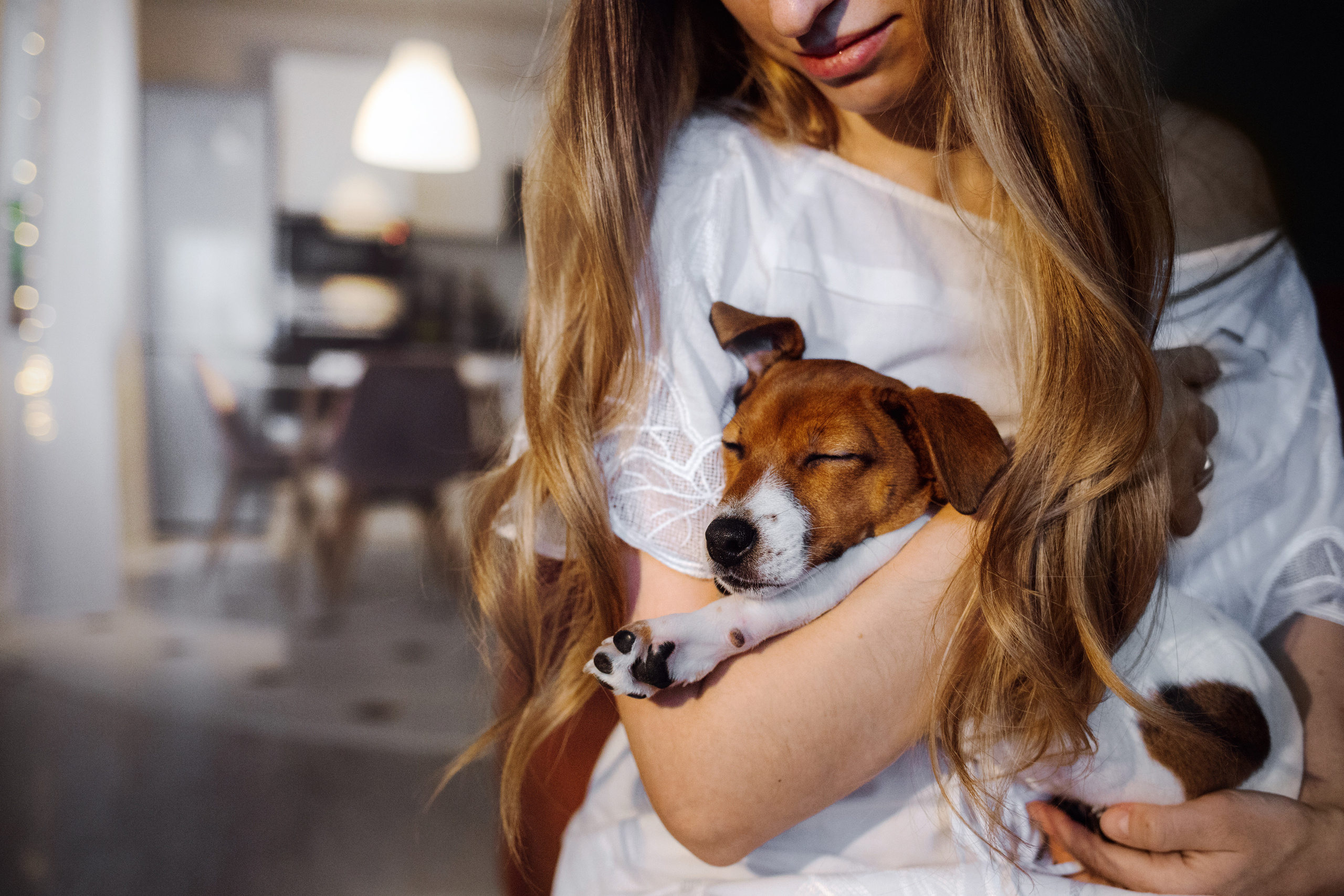 Новогодняя домашняя фотосессия с собакой