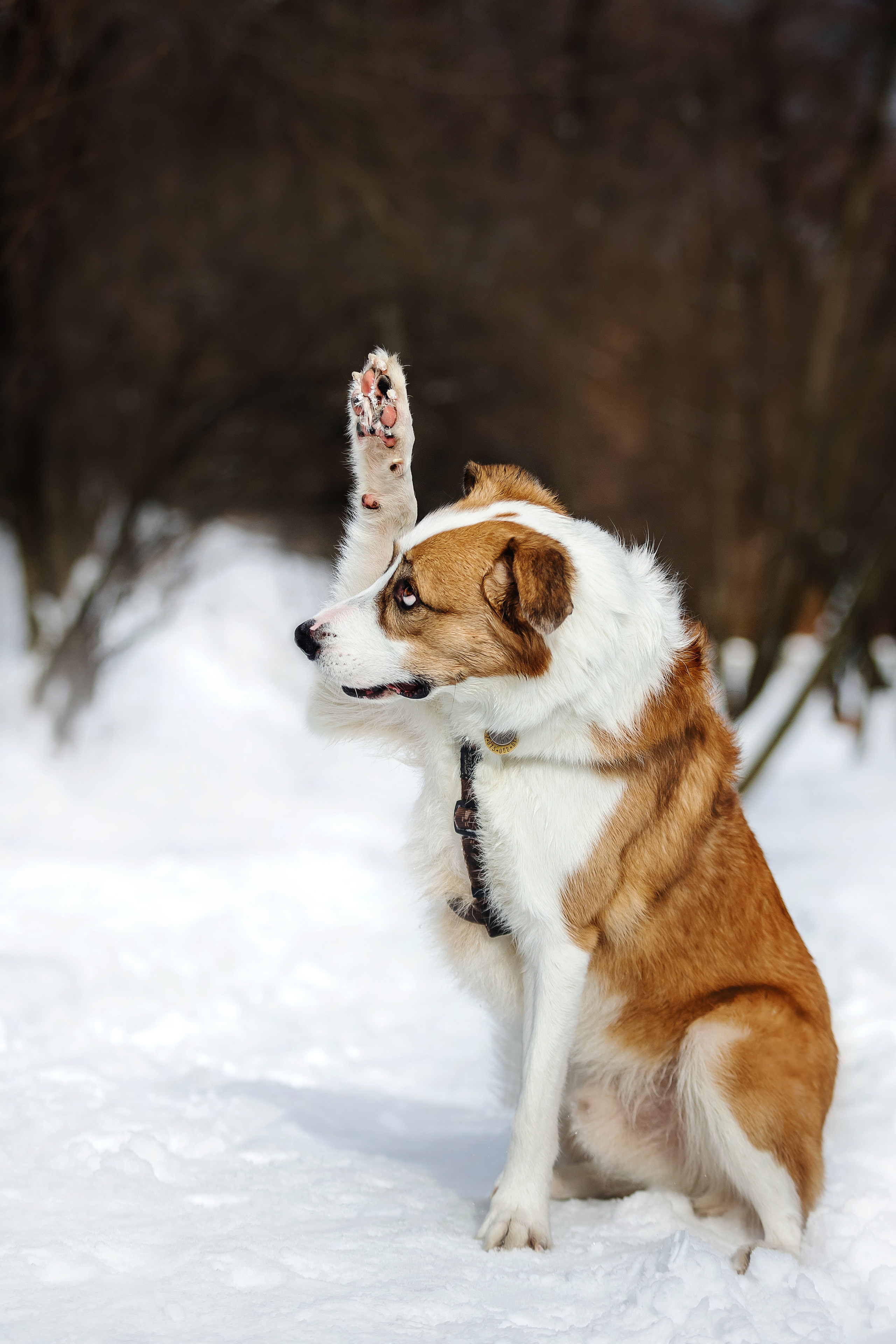 Фотосессия в парке Коломенское