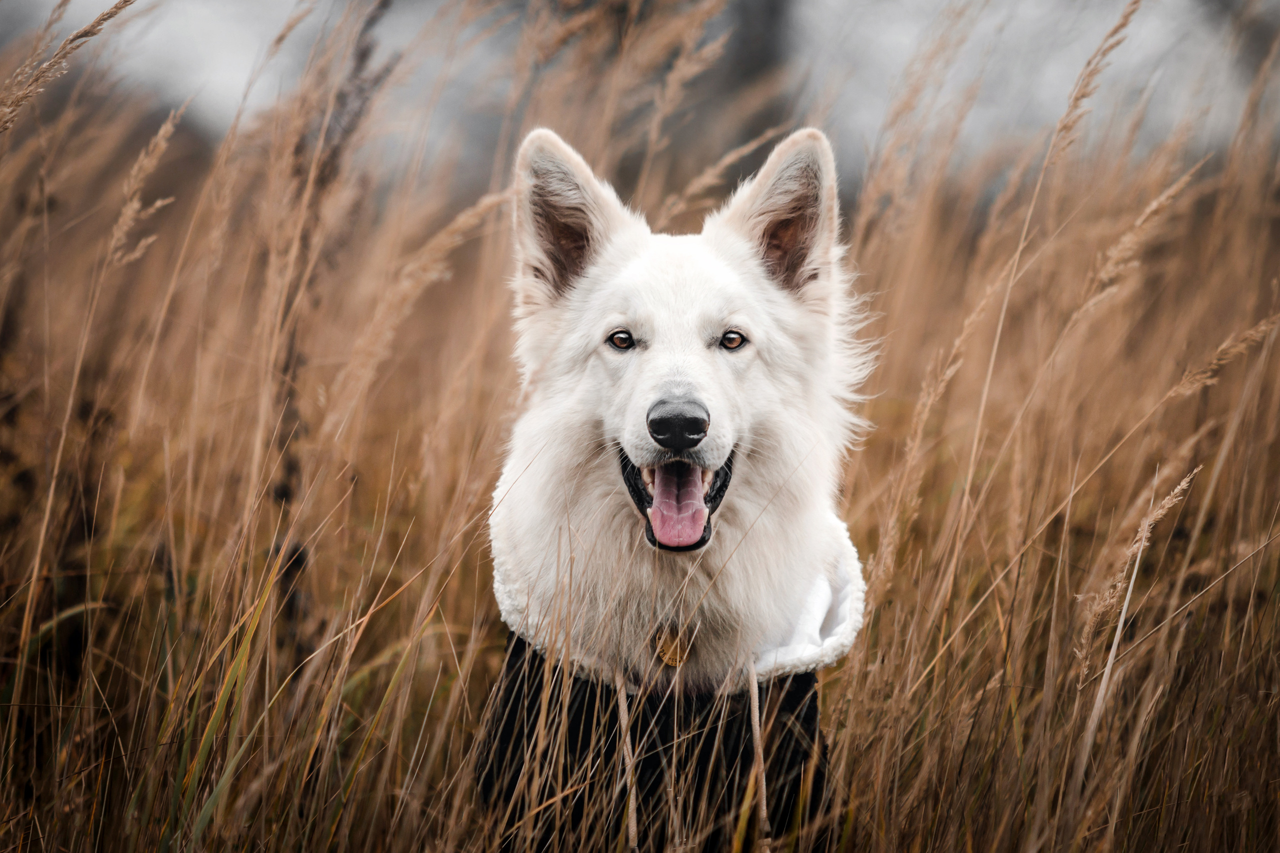МОИ ФОТОГРАФИИ ВЫДАЛИ ЗА СВОИ