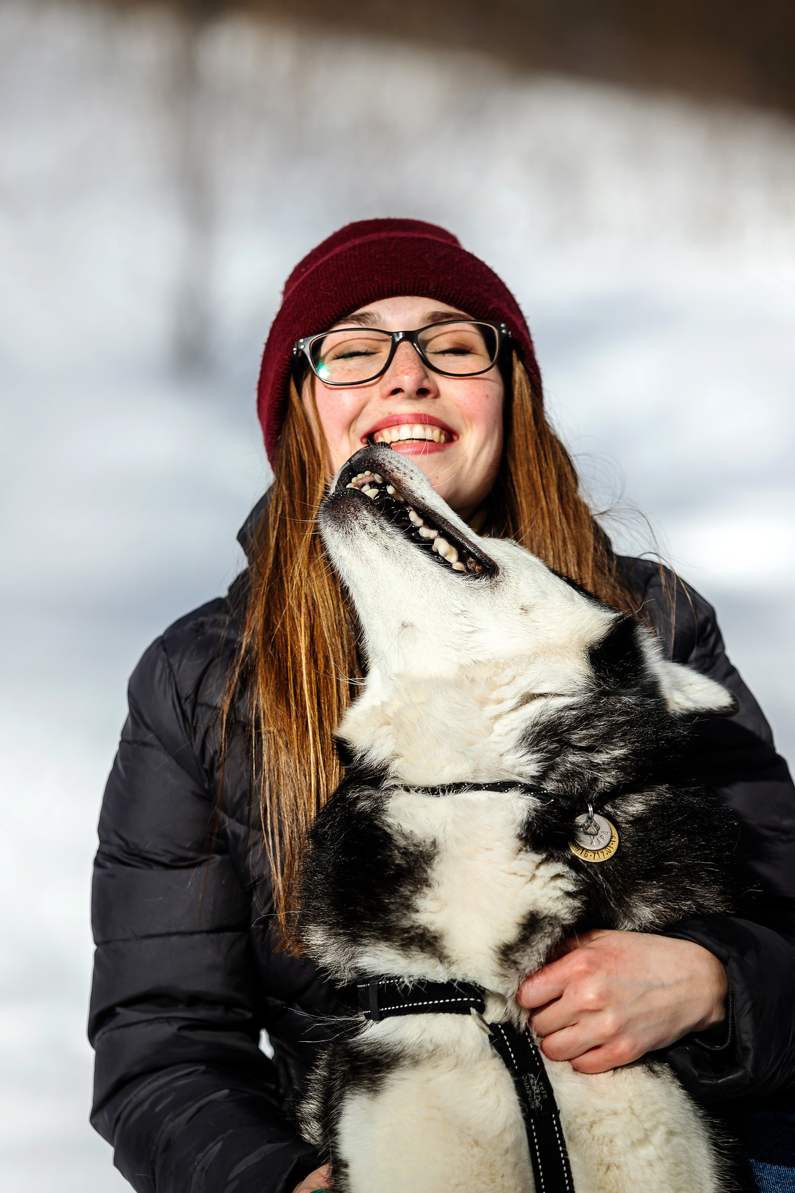 Зимняя фотосессия с собакой в Коломенском парке
