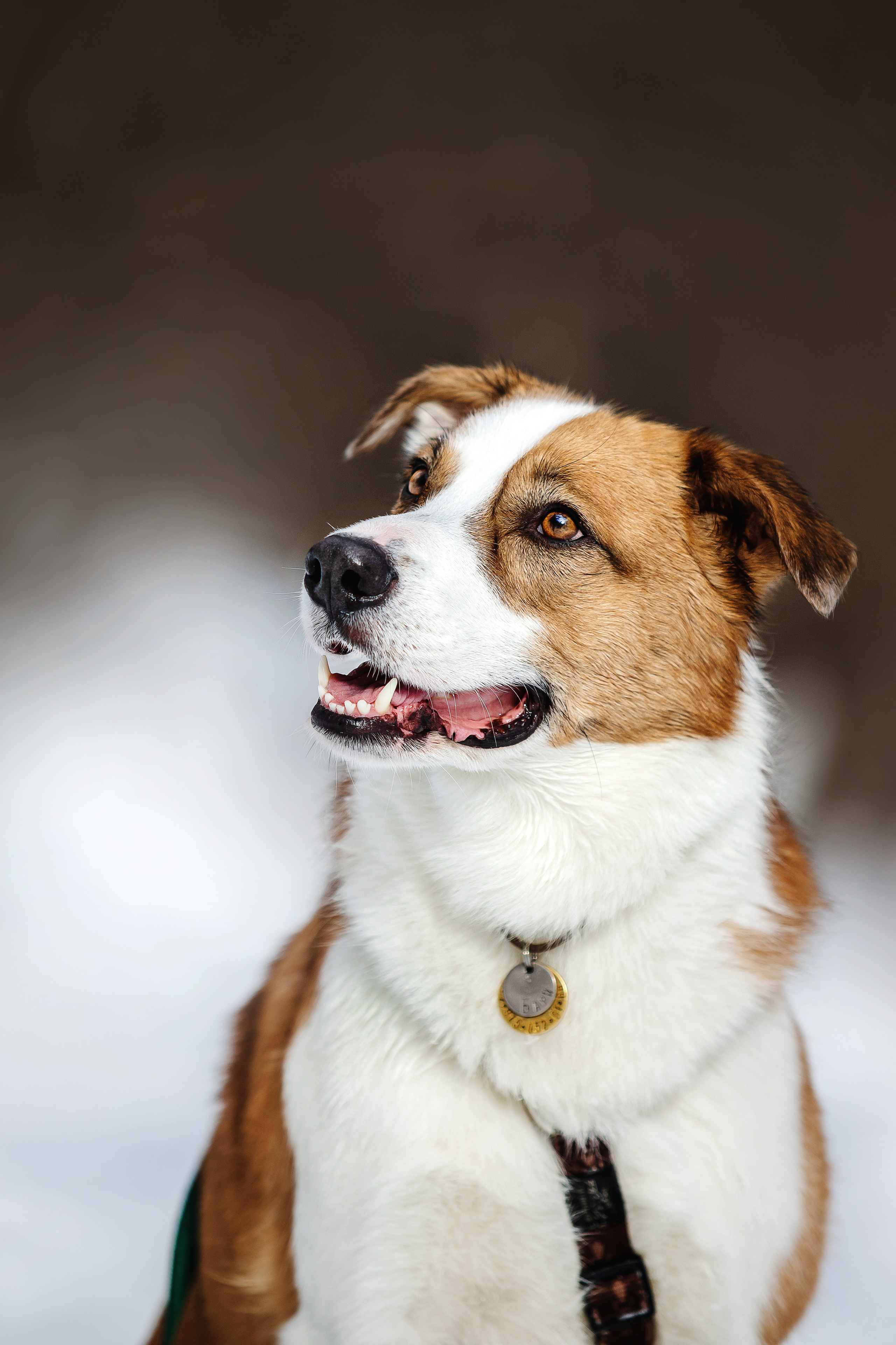 Фотосессия в парке Коломенское