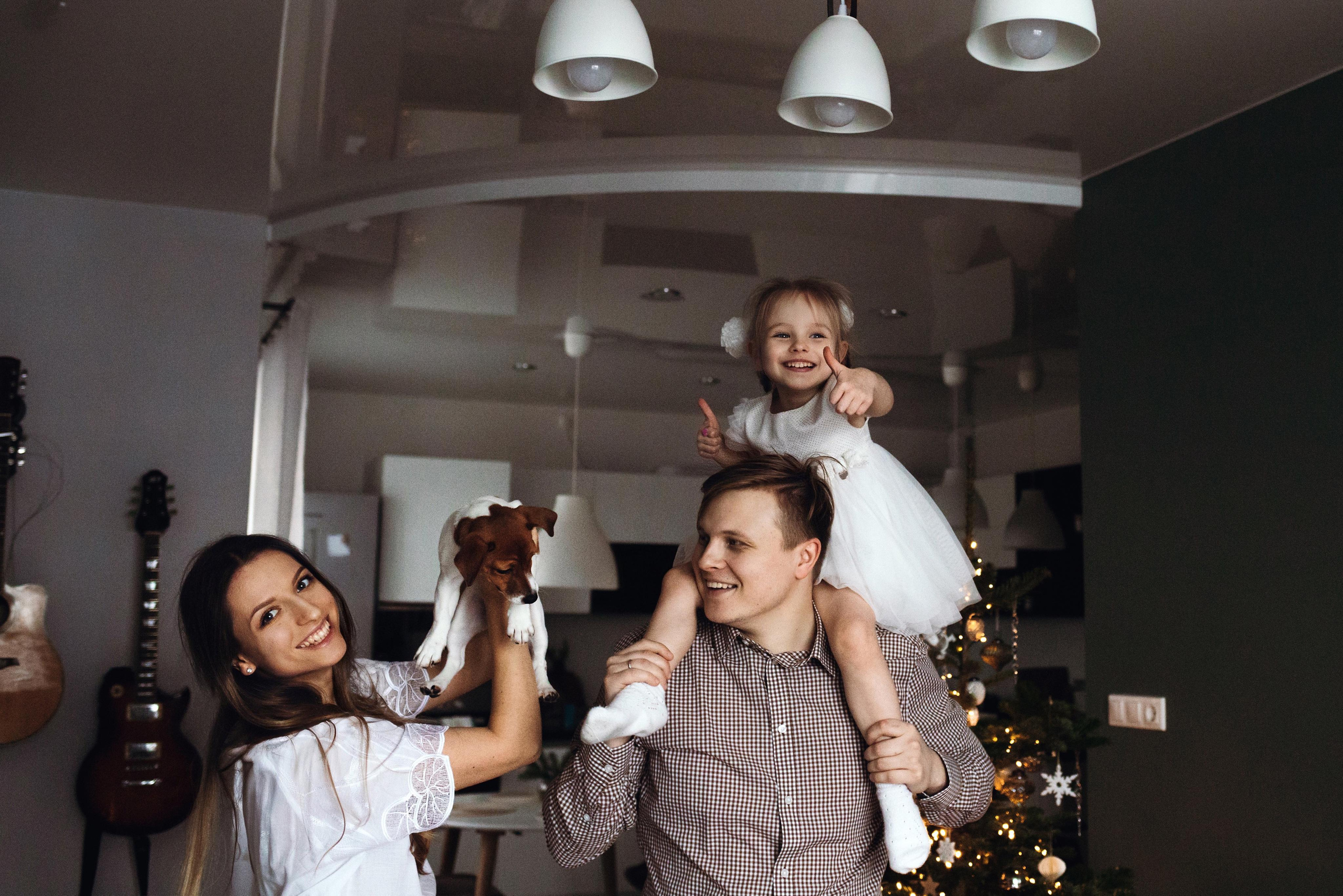 Новогодняя домашняя фотосессия с собакой