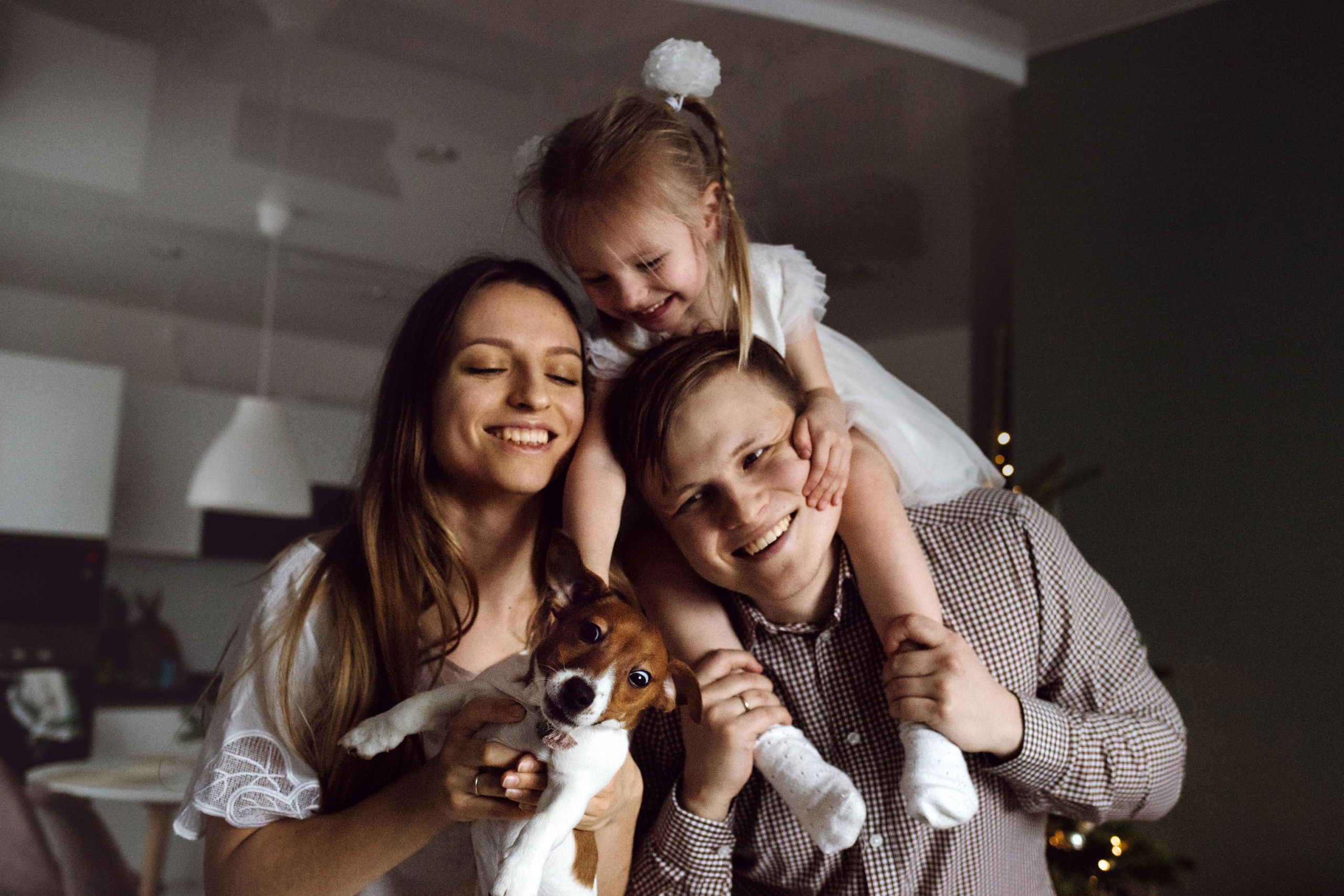 Новогодняя домашняя фотосессия с собакой