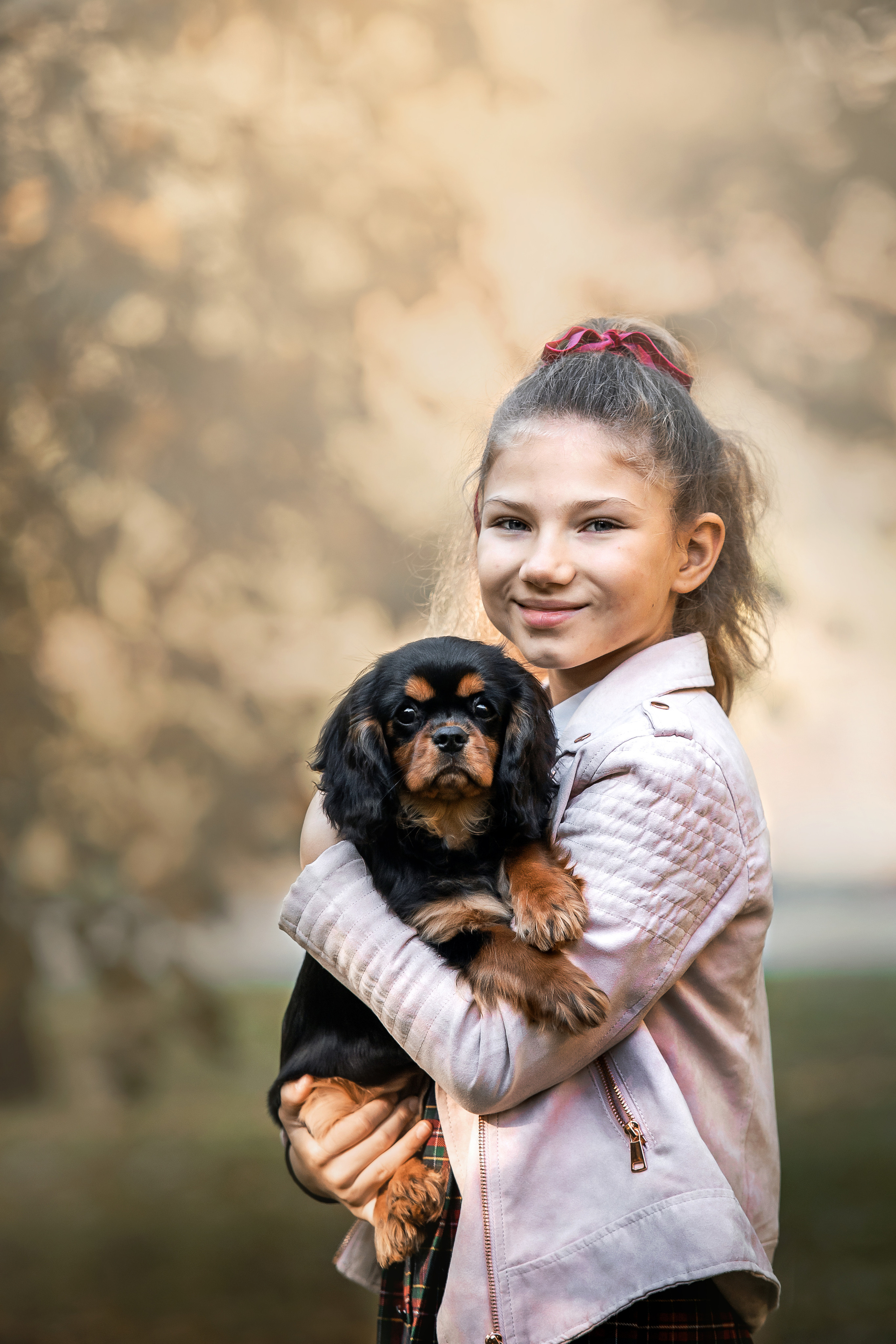 Фотосессия кавалер-кинг-чарльз-спаниелями