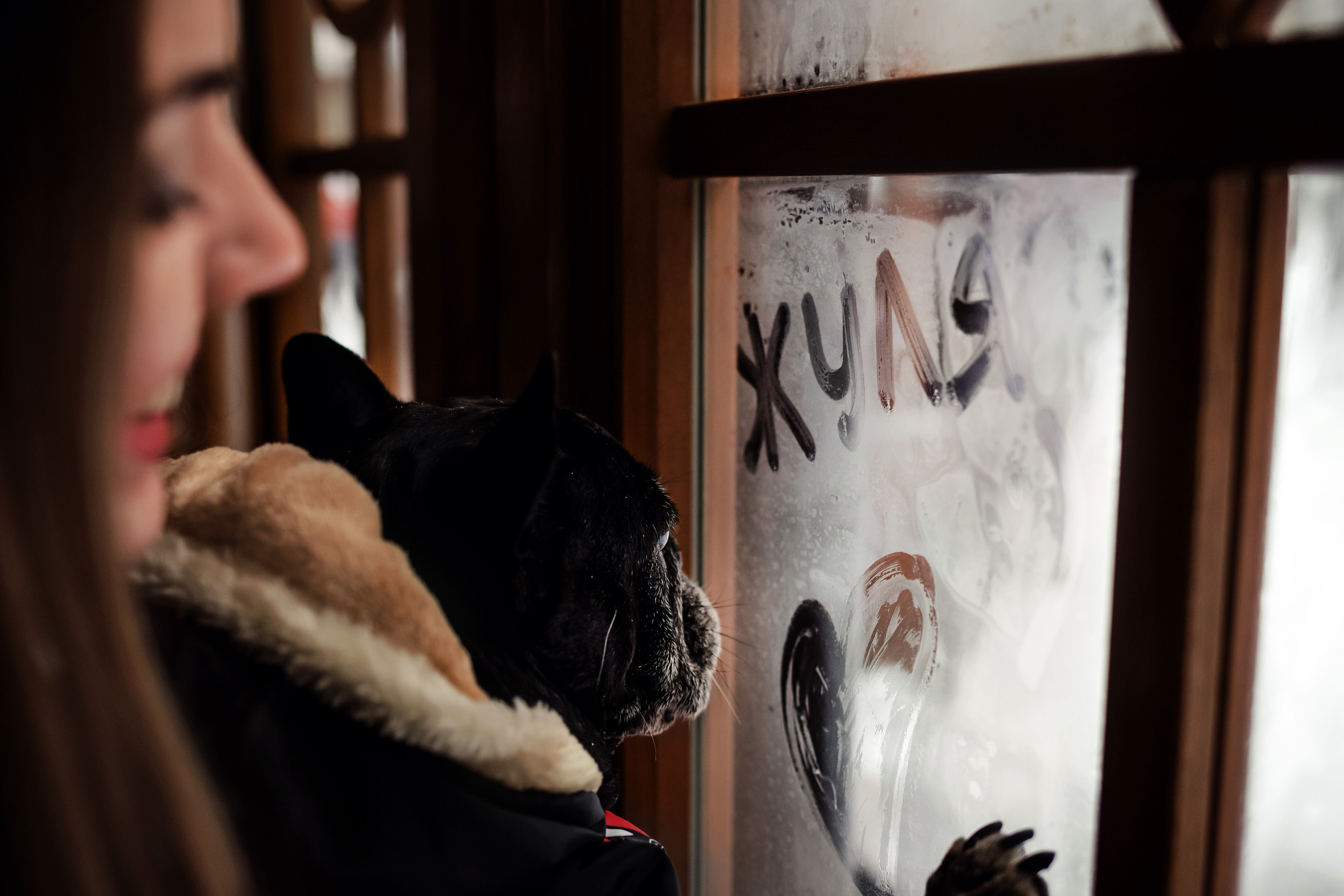 Фотосессия с бульдогом Жулей