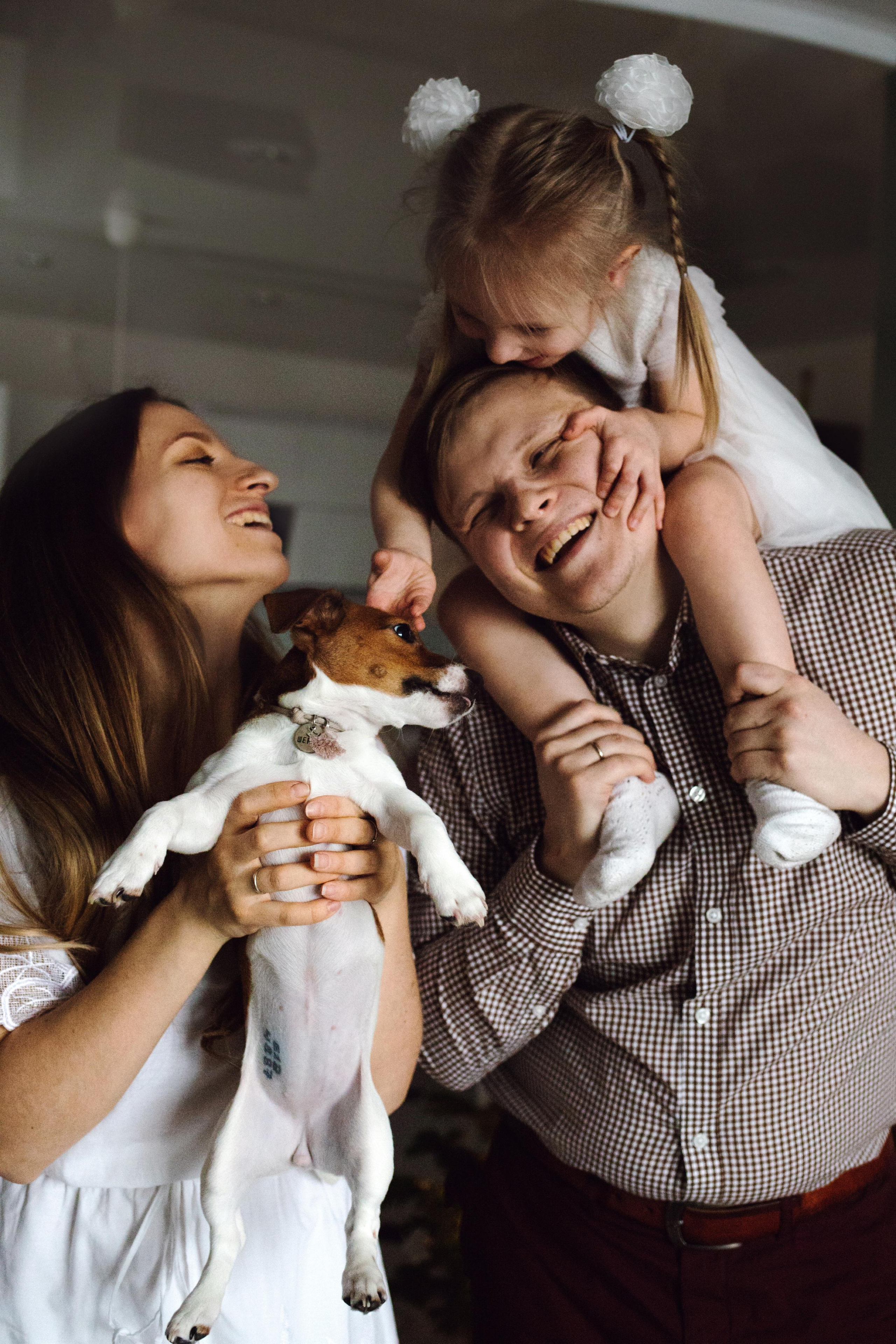 Новогодняя домашняя фотосессия с собакой