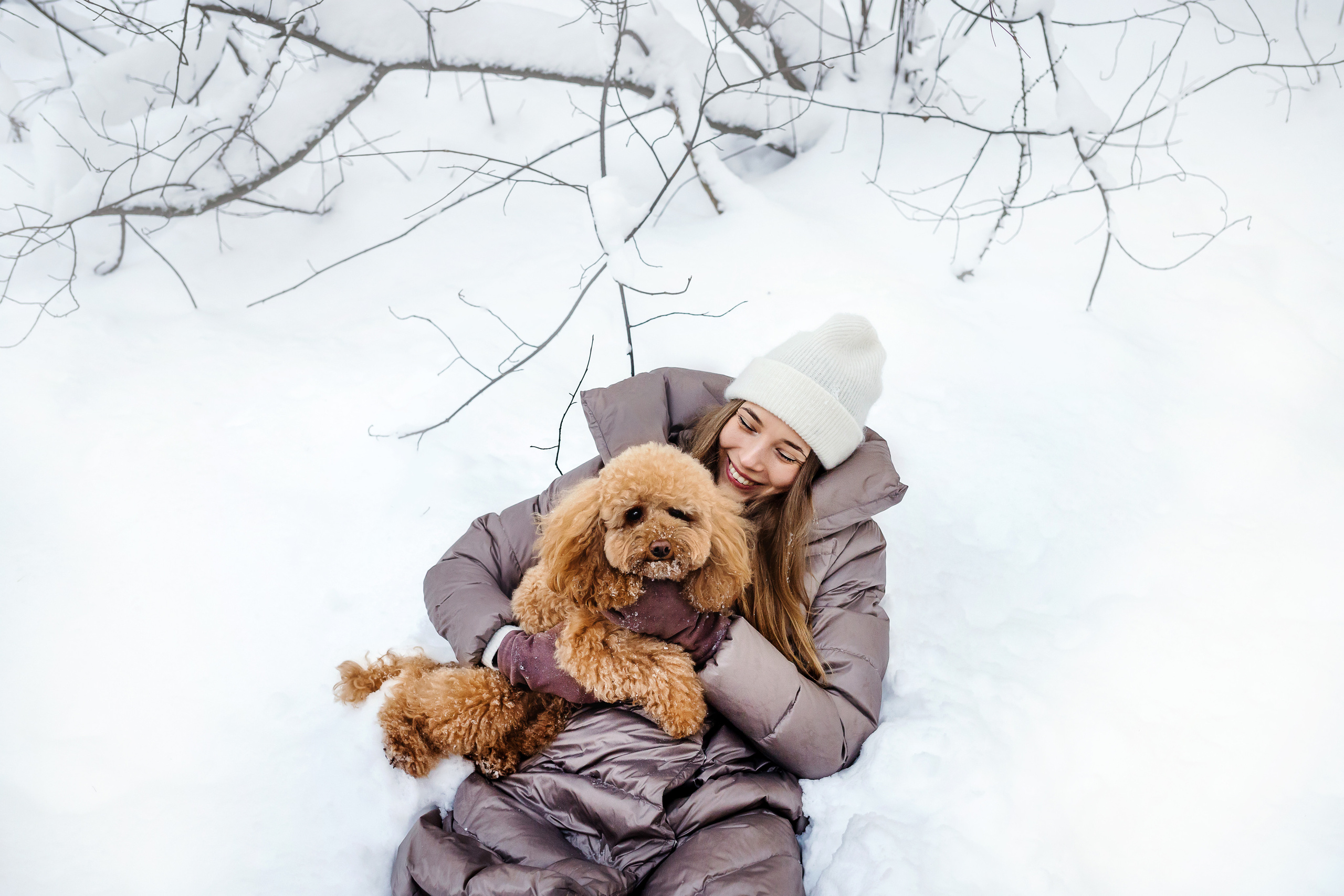 Фотосессия с собакой Одри