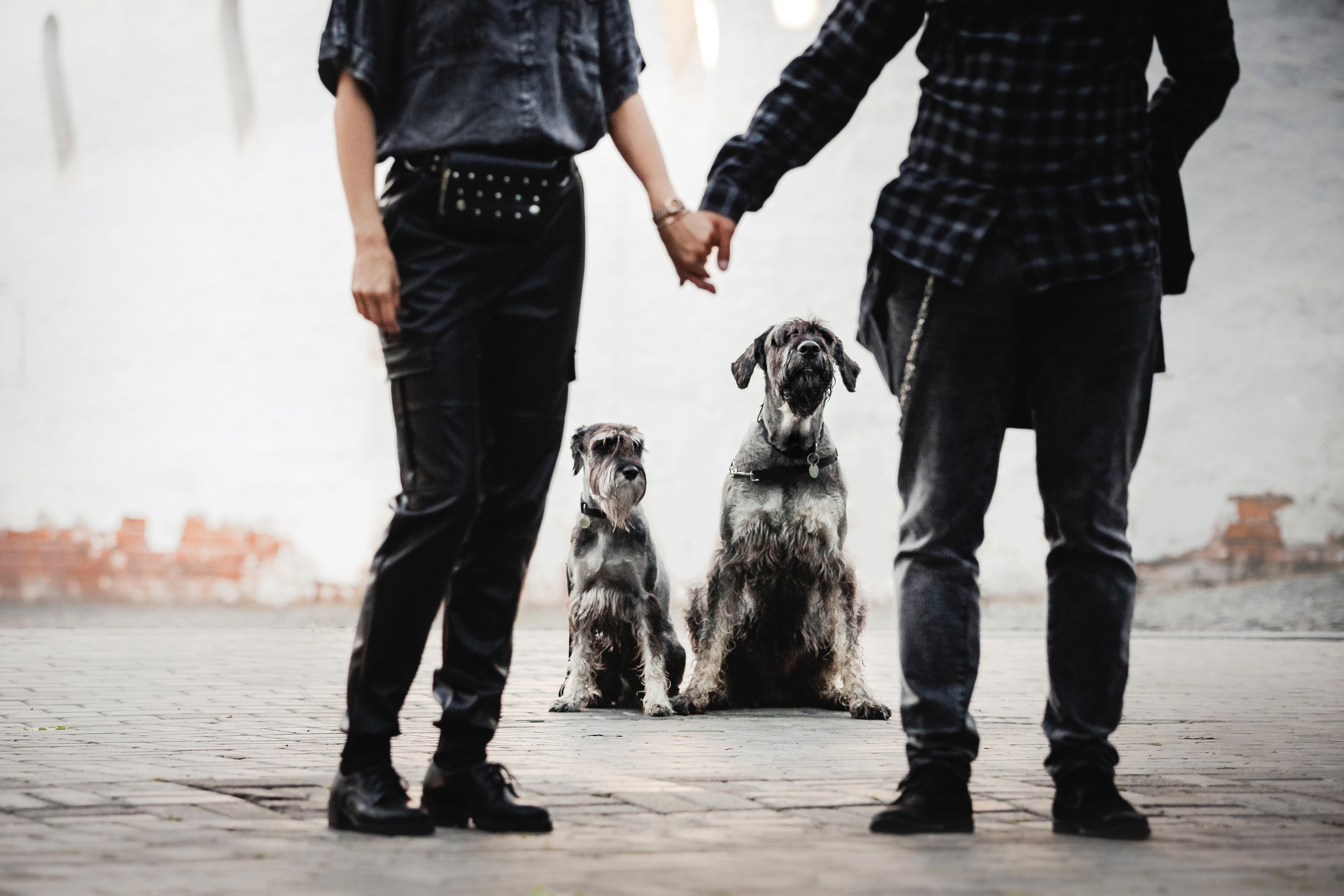 Я СОБАЧНИК. НО