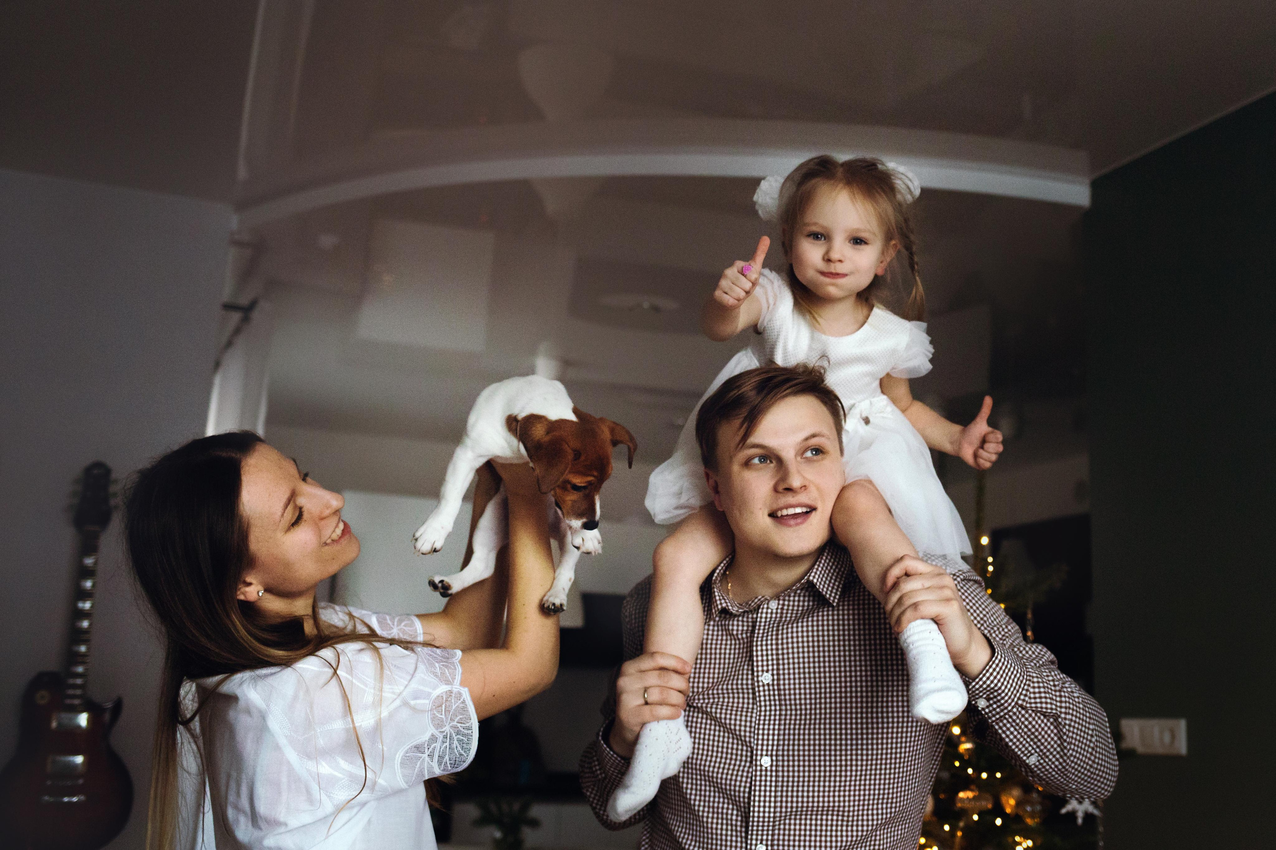 Новогодняя домашняя фотосессия с собакой