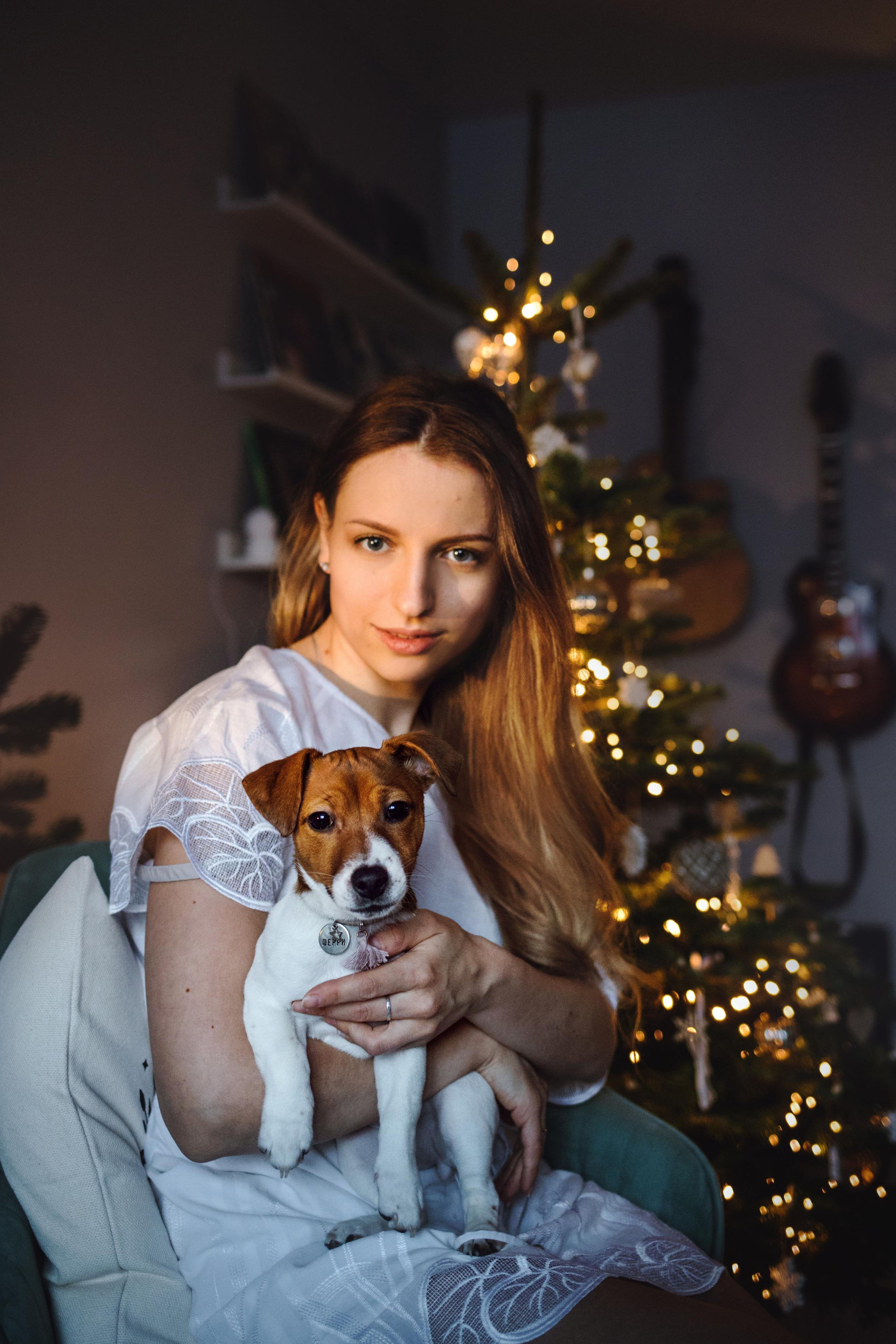 Новогодняя домашняя фотосессия с собакой