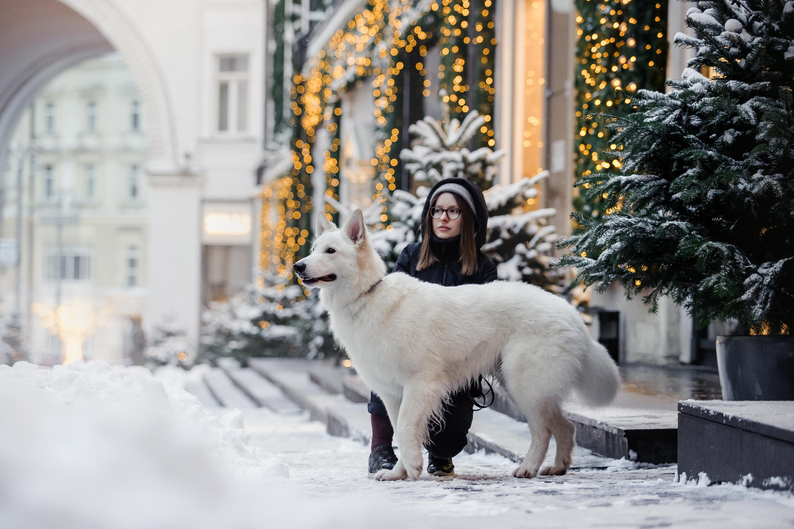 Света, Юля и Олаф