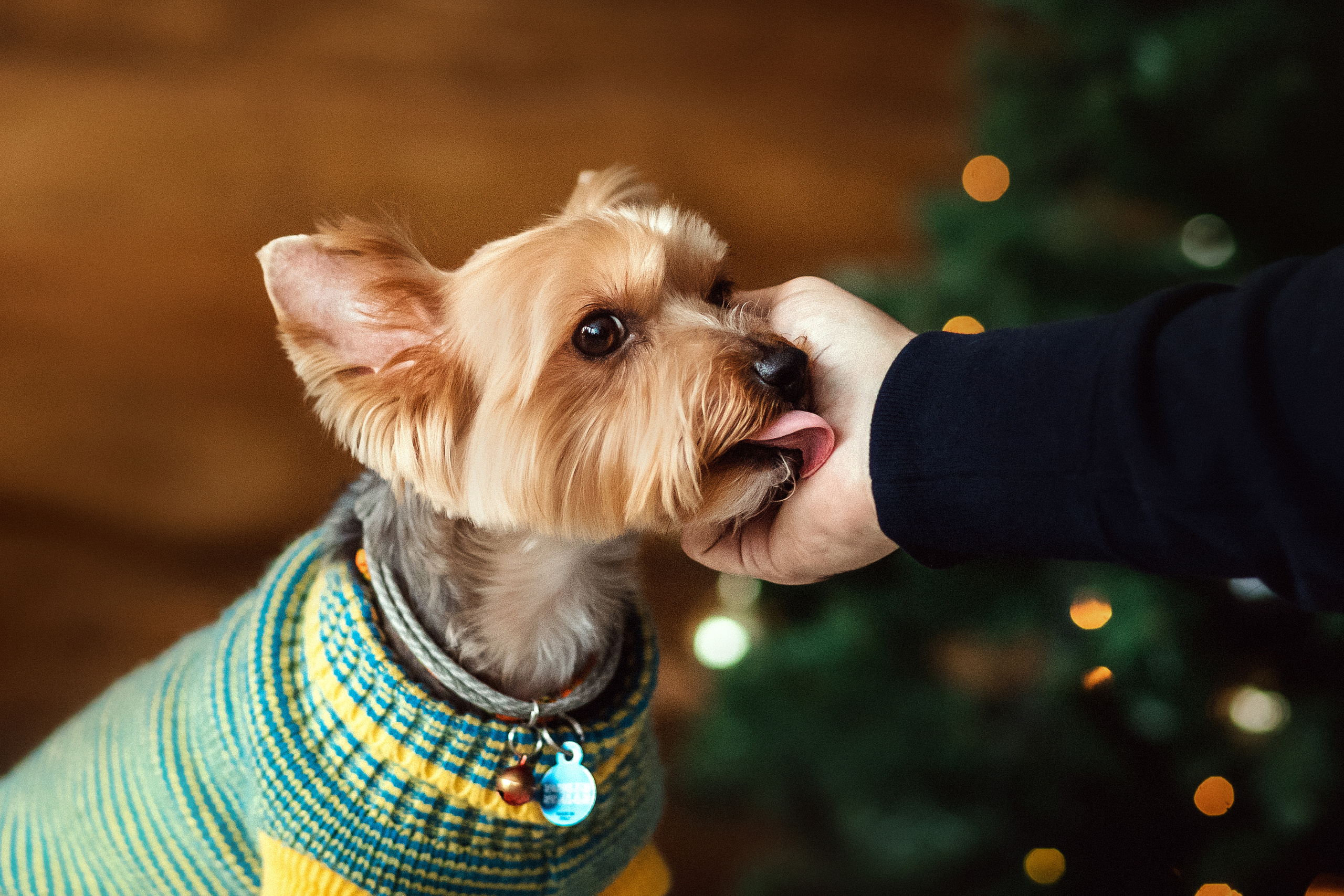 Фотосессия с Семеном и Винни