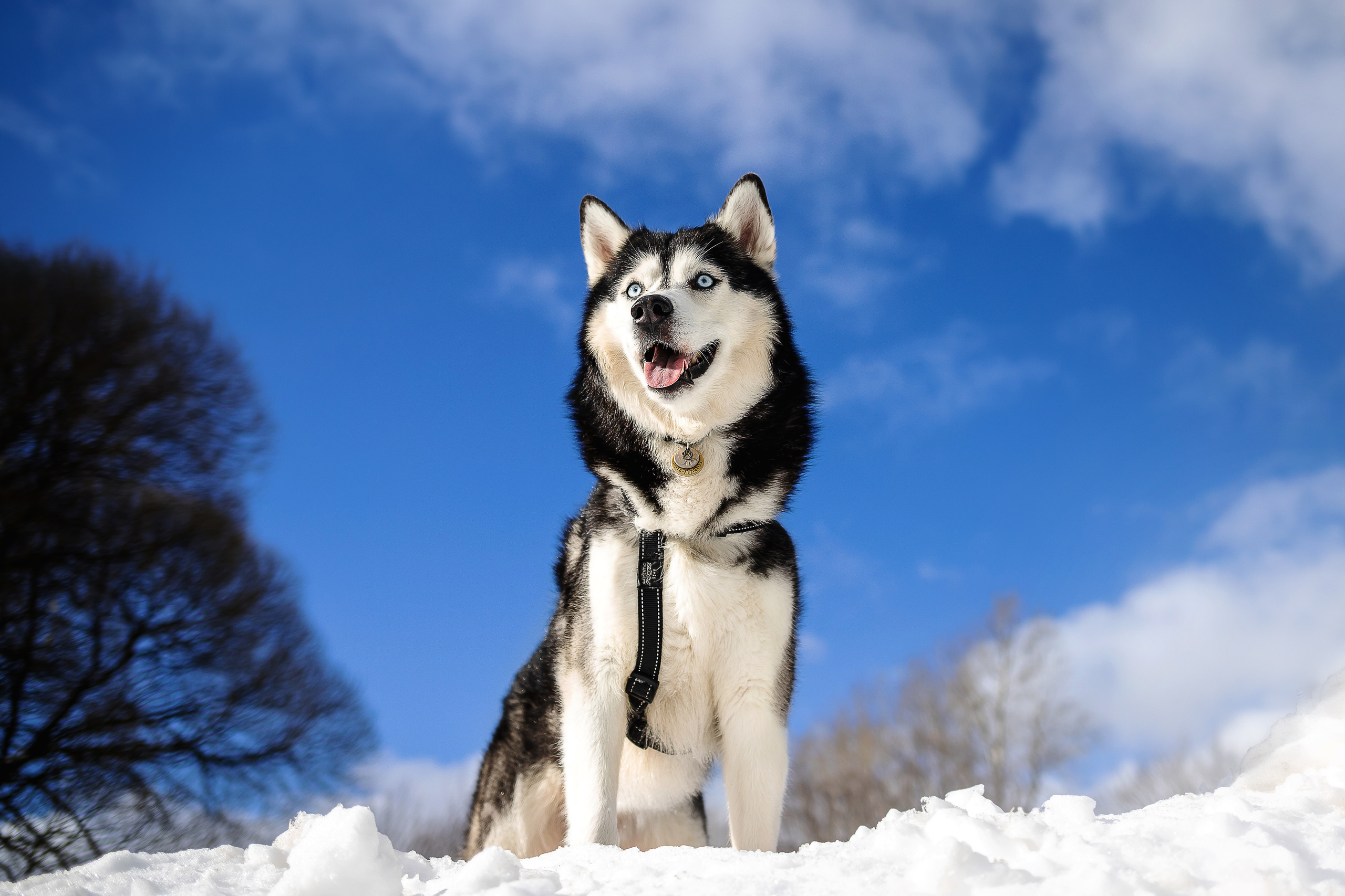 Фотосессия в парке Коломенское