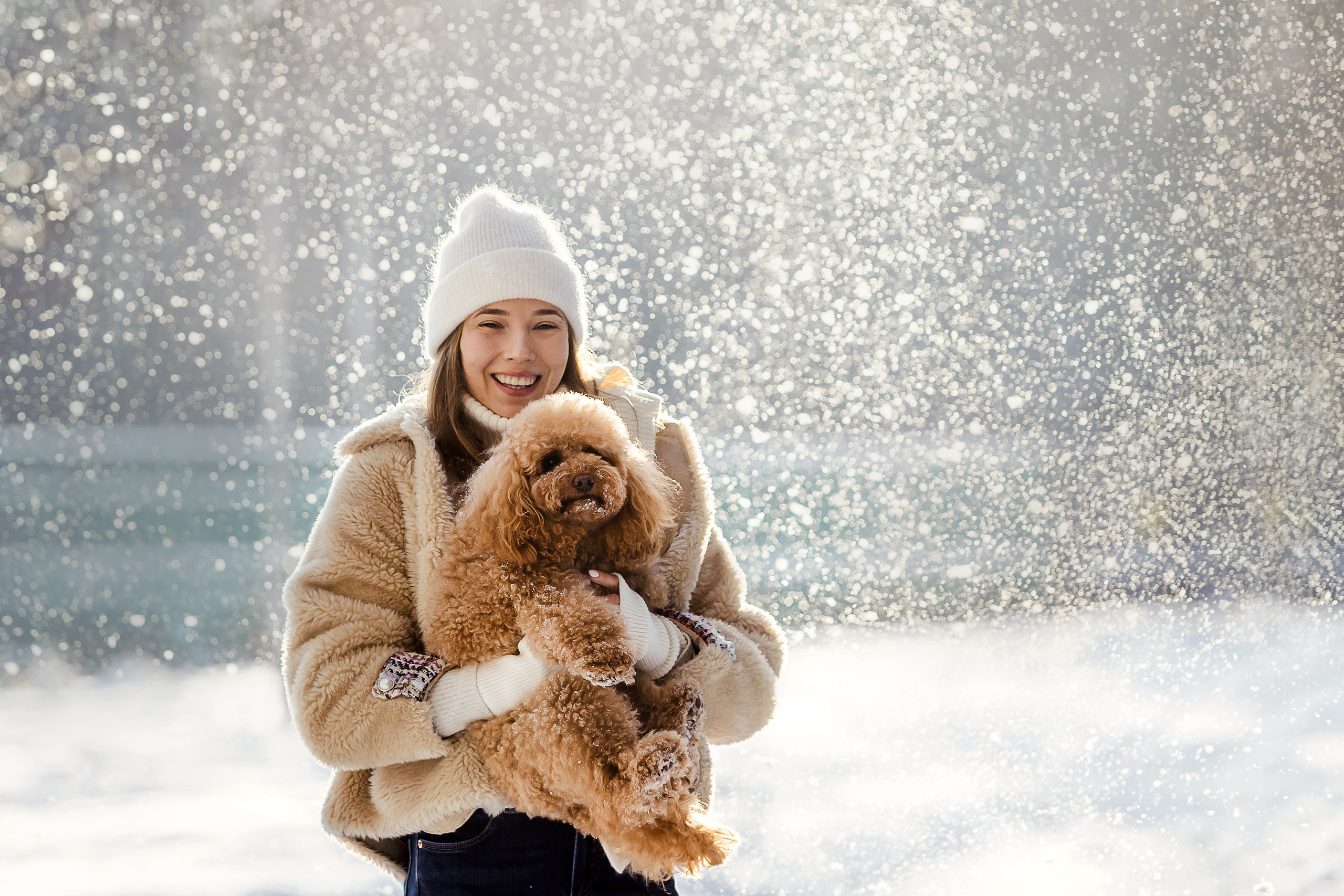 Фотосессия с собакой Одри