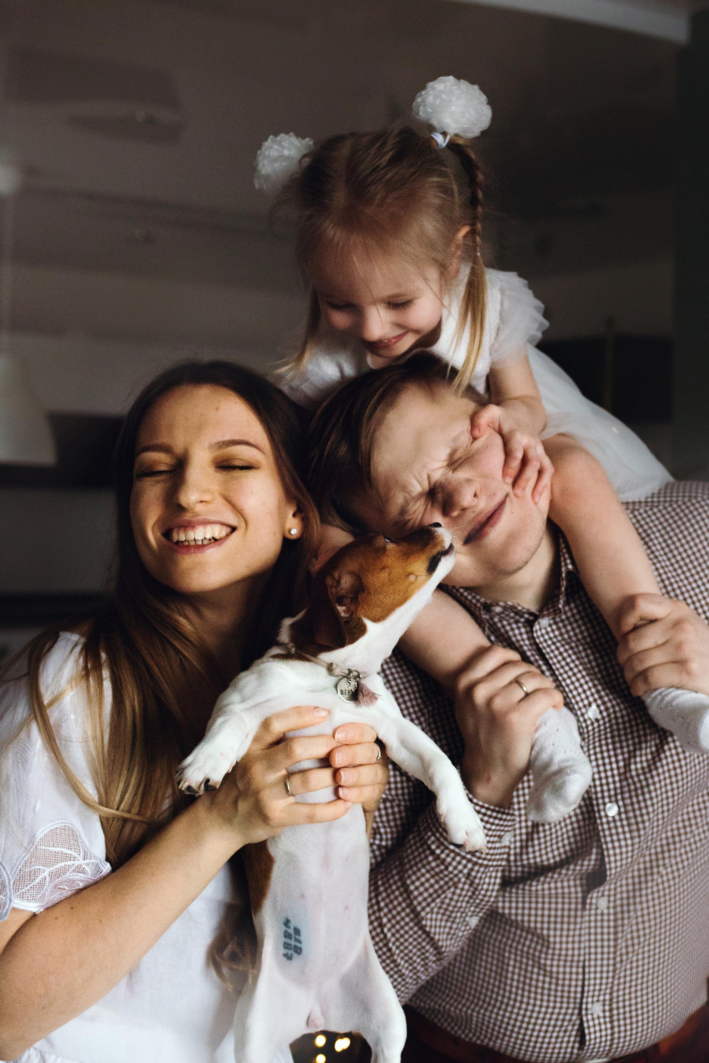 Новогодняя домашняя фотосессия с собакой