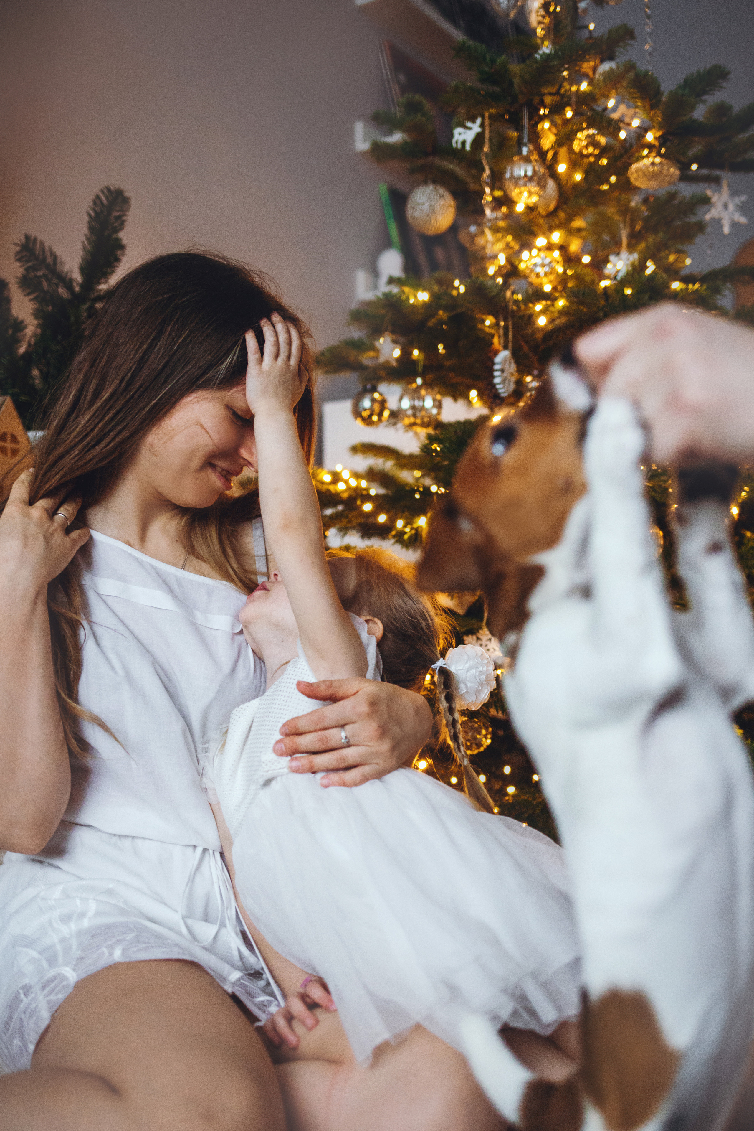 Новогодняя домашняя фотосессия с собакой