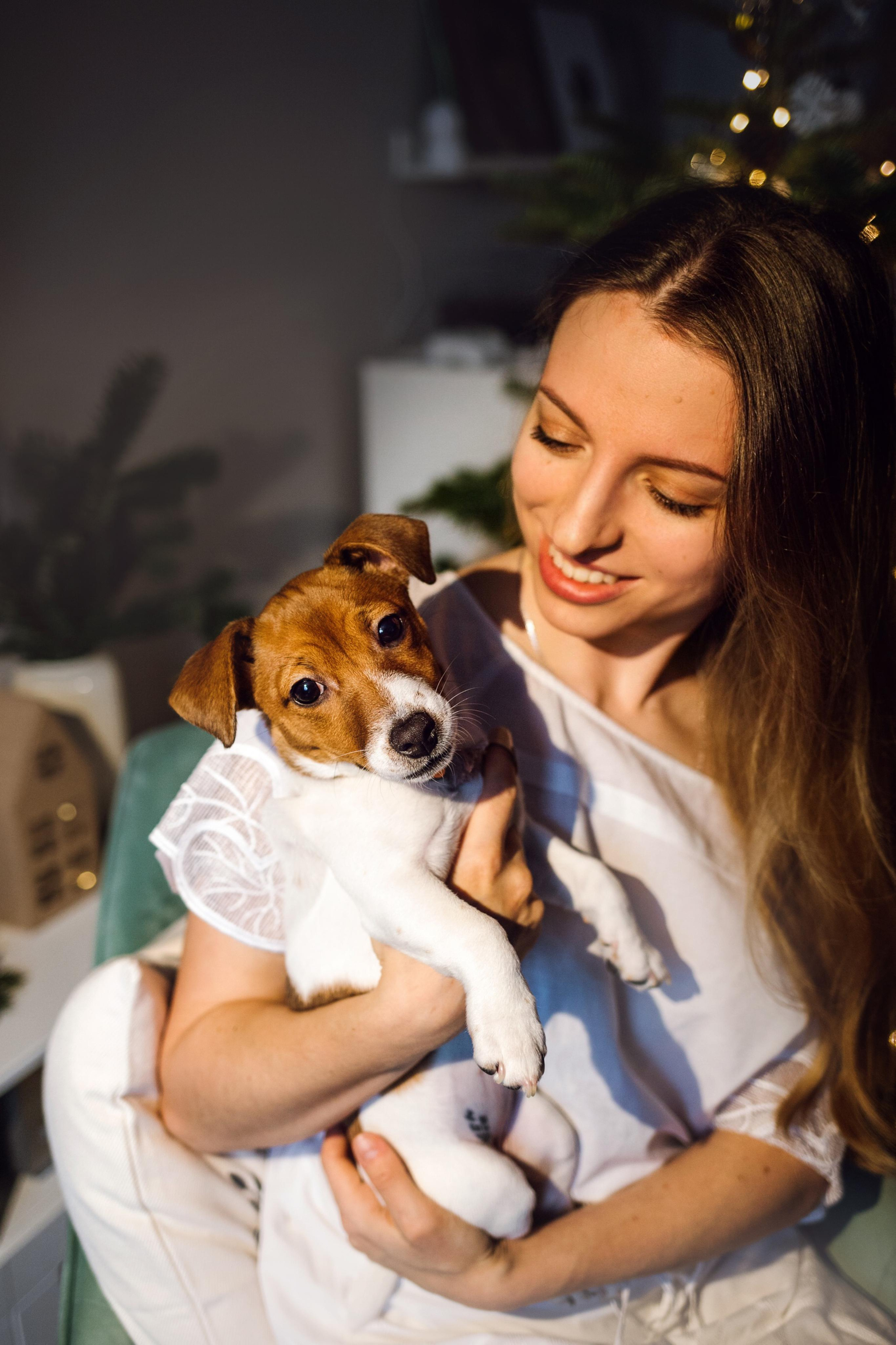 Новогодняя домашняя фотосессия с собакой