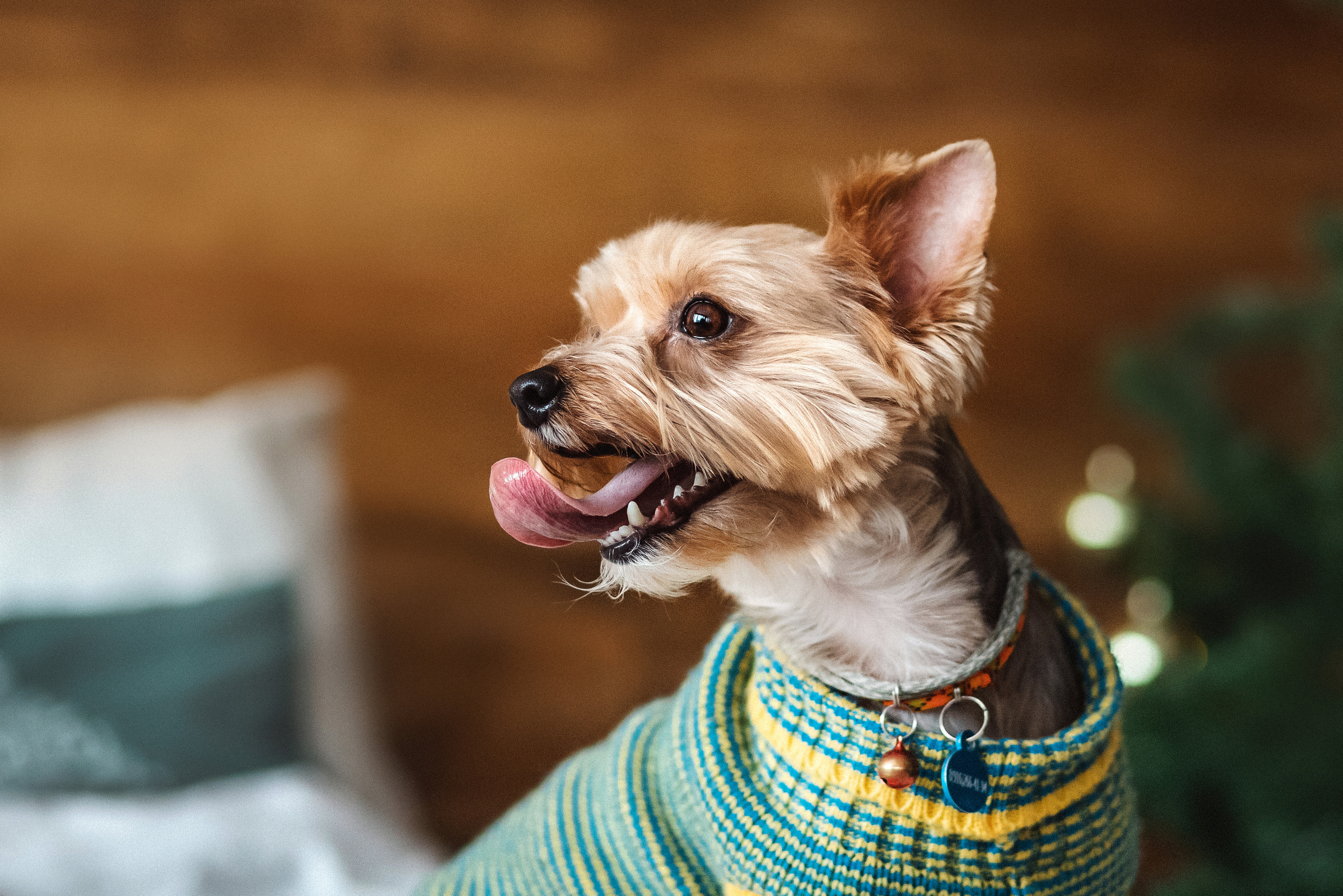 Фотосессия с Семеном и Винни