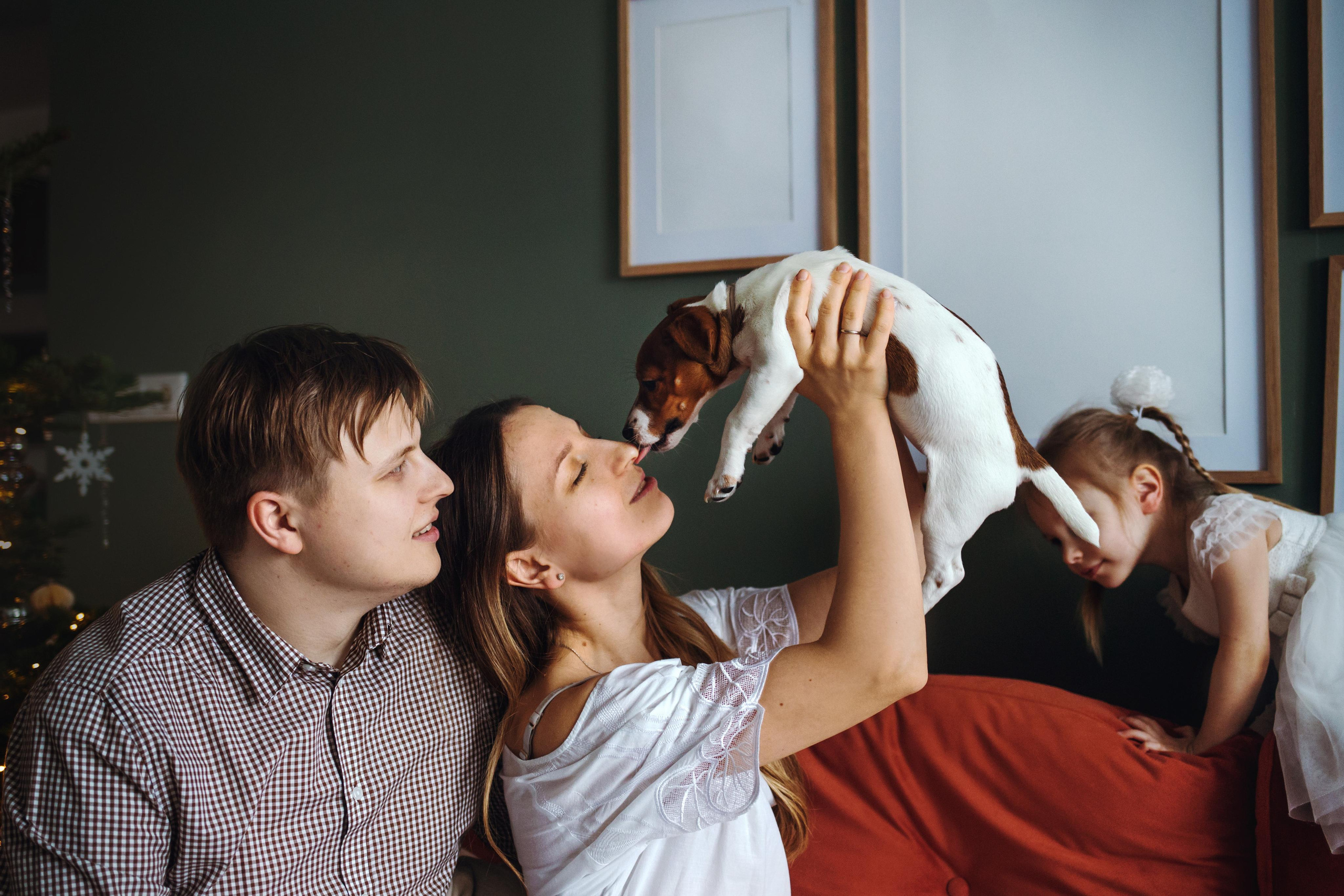 Новогодняя домашняя фотосессия с собакой