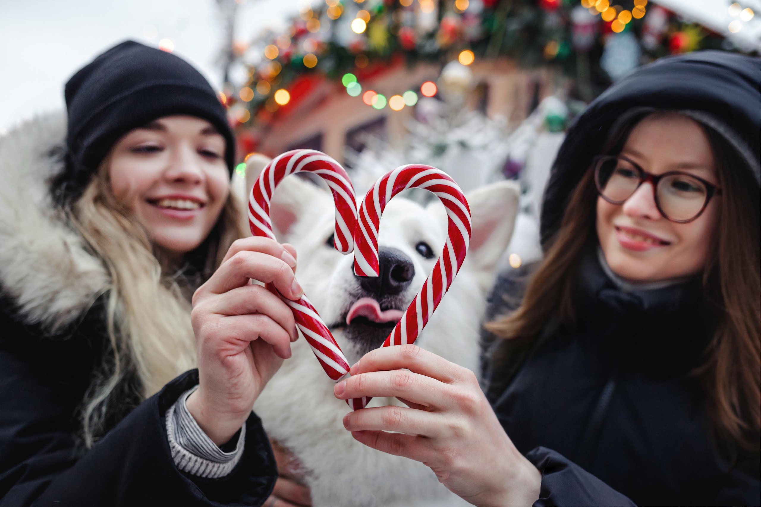 Света, Юля и Олаф