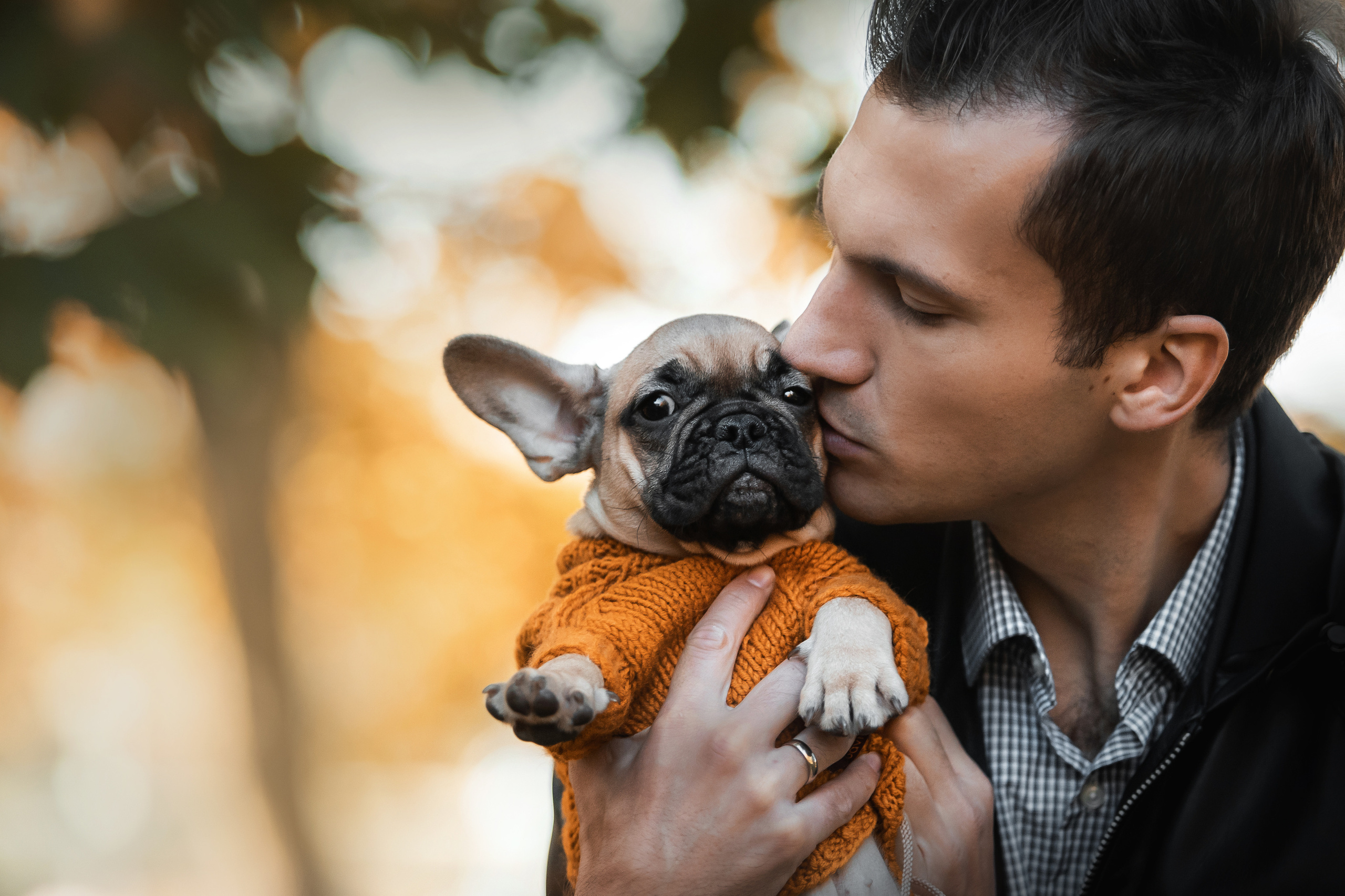 Фотосессия с собаками Мотя и Вилья