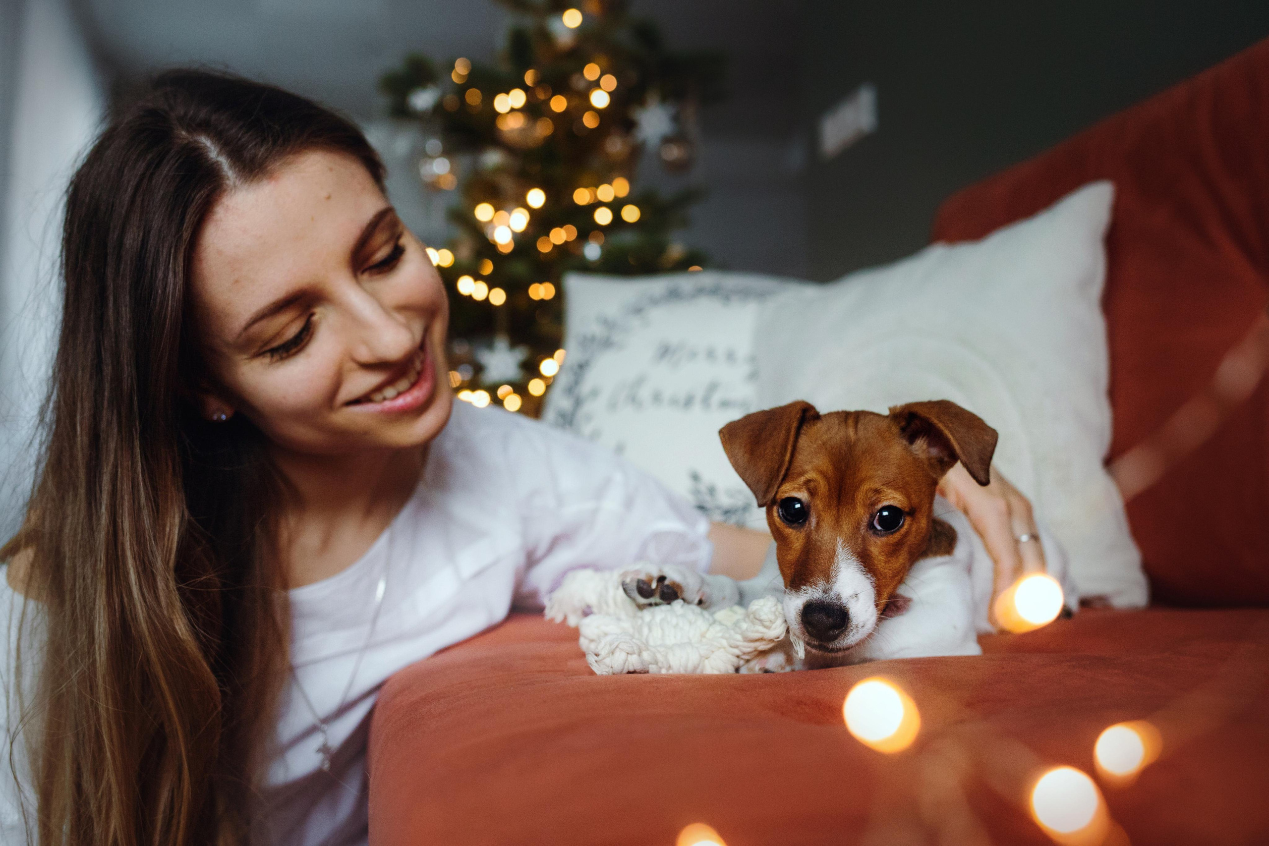 Новогодняя домашняя фотосессия с собакой