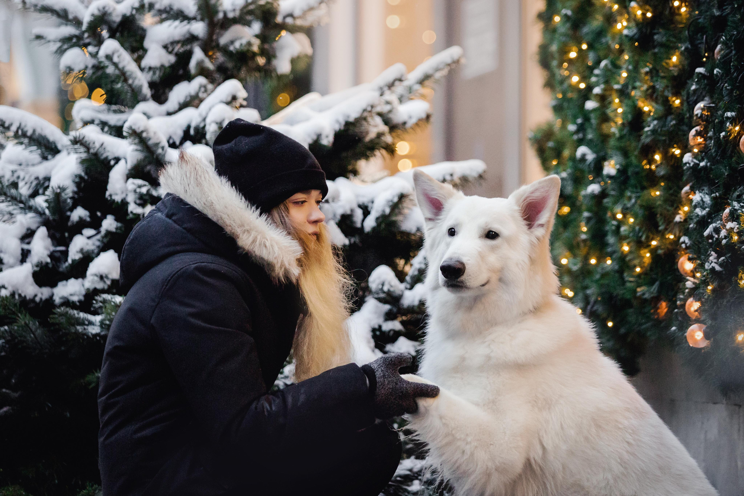 Света, Юля и Олаф