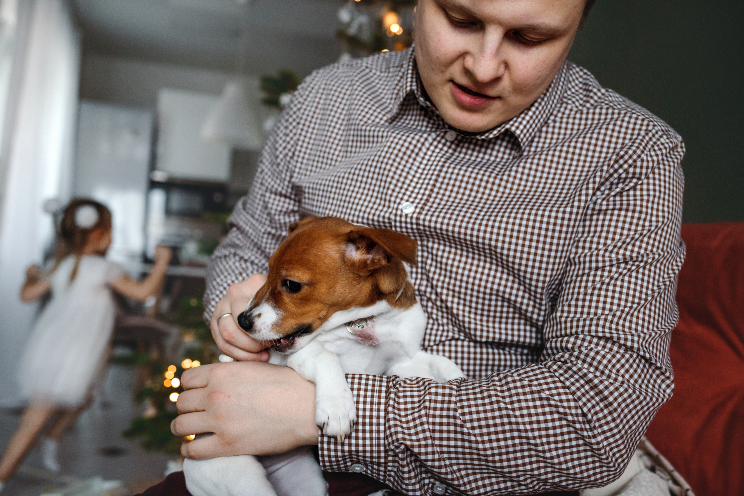 Новогодняя домашняя фотосессия с собакой