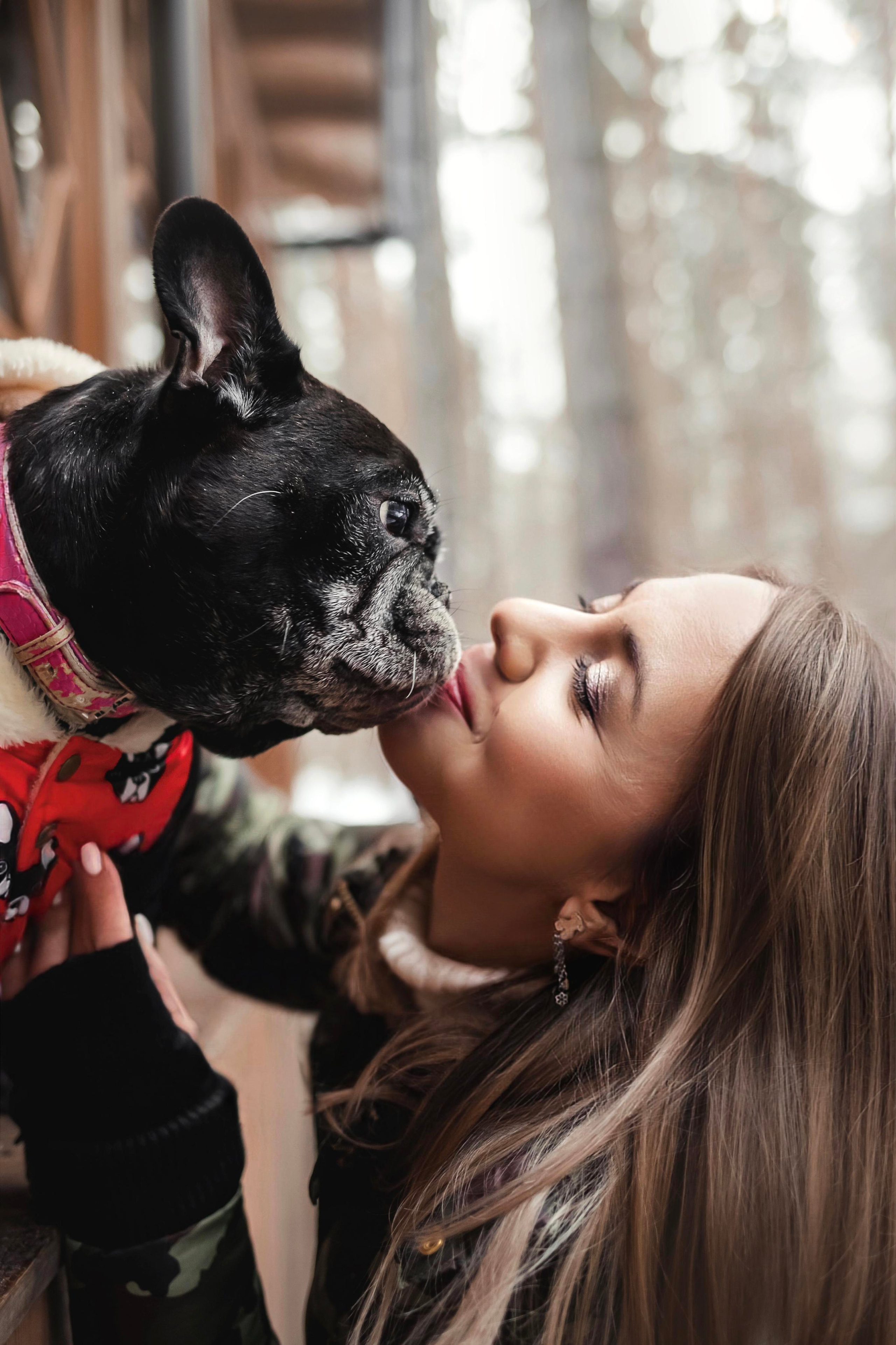 Фотосессия с бульдогом Жулей