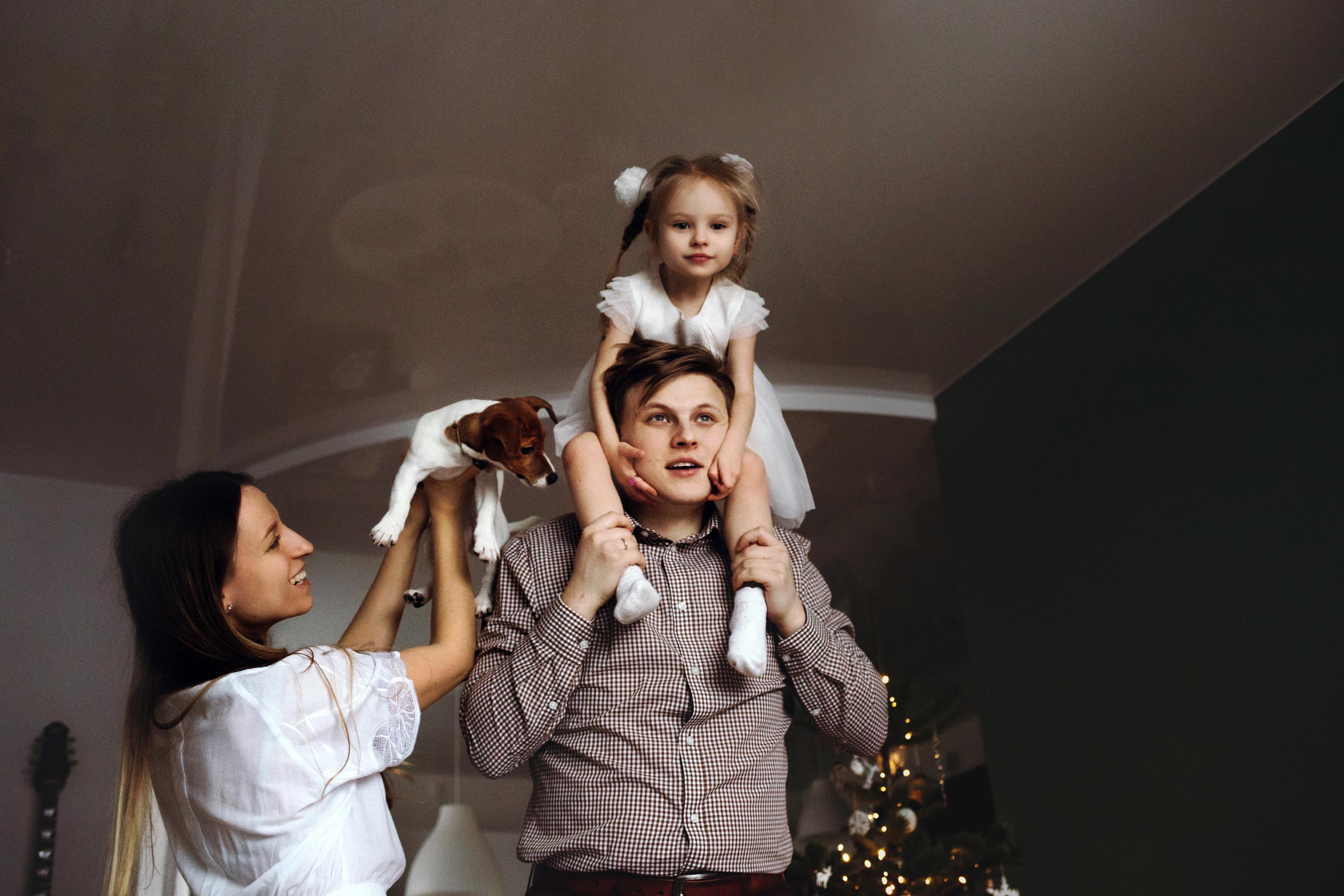 Новогодняя домашняя фотосессия с собакой