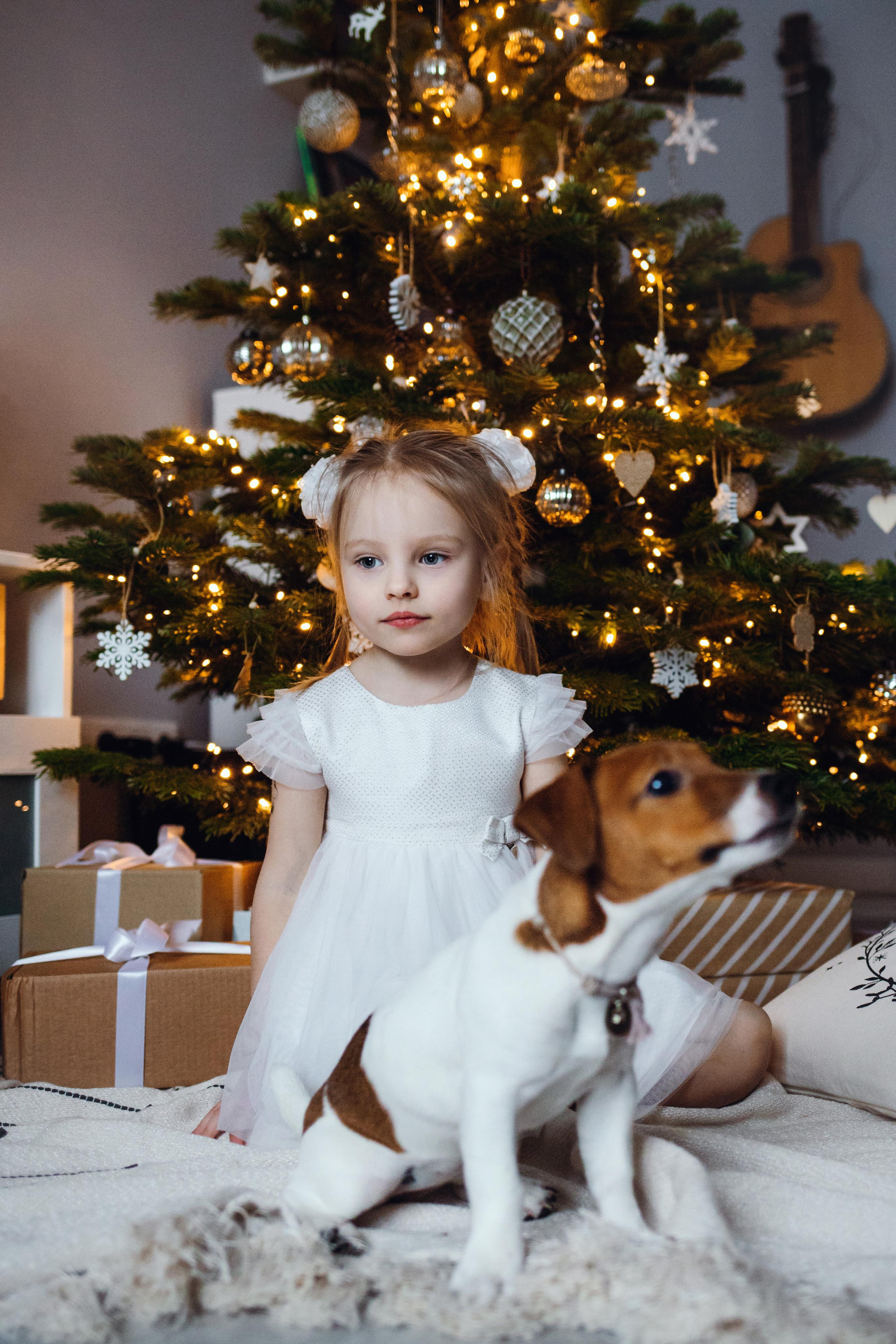 Новогодняя домашняя фотосессия с собакой