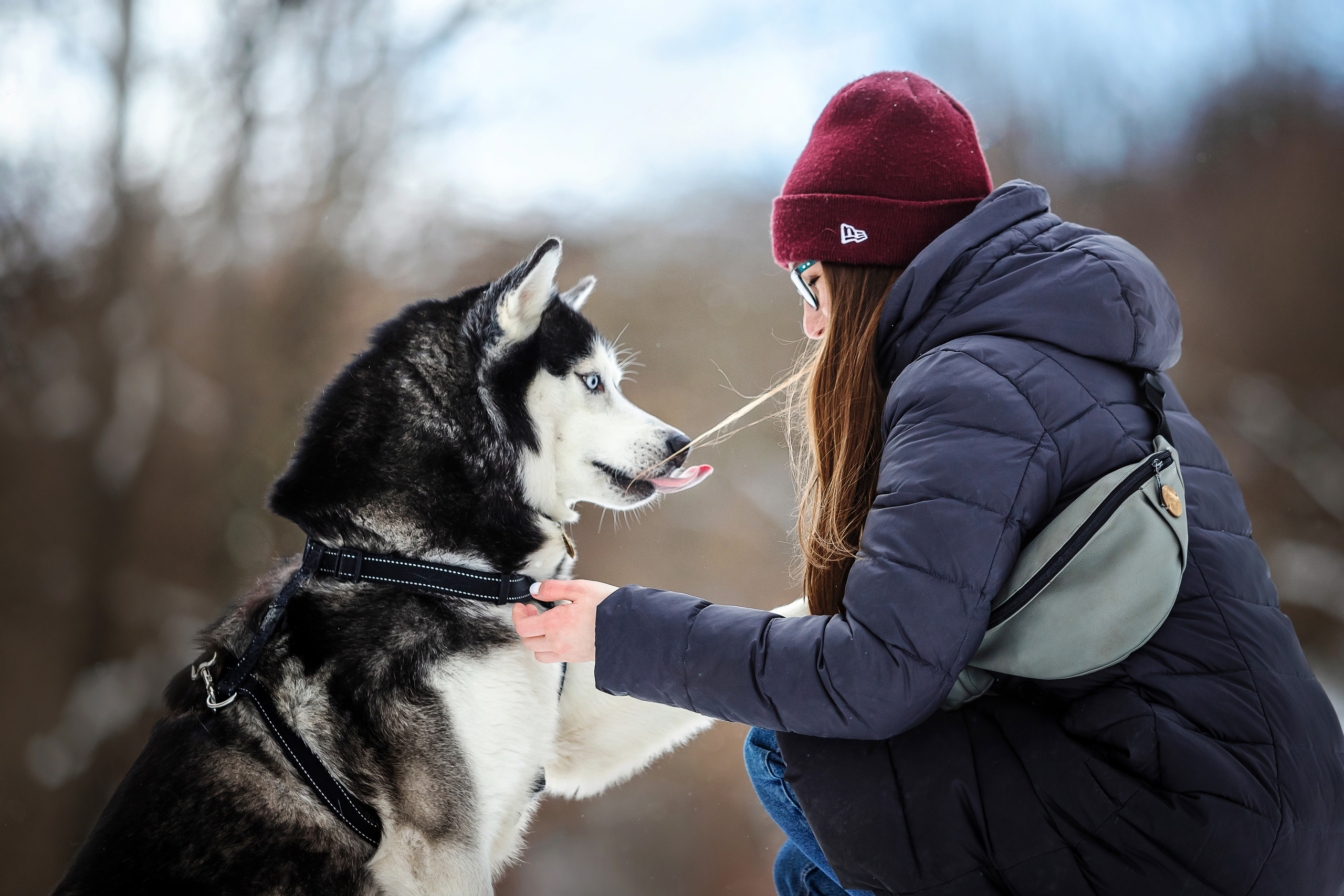 Фотосессия с собакой зимой