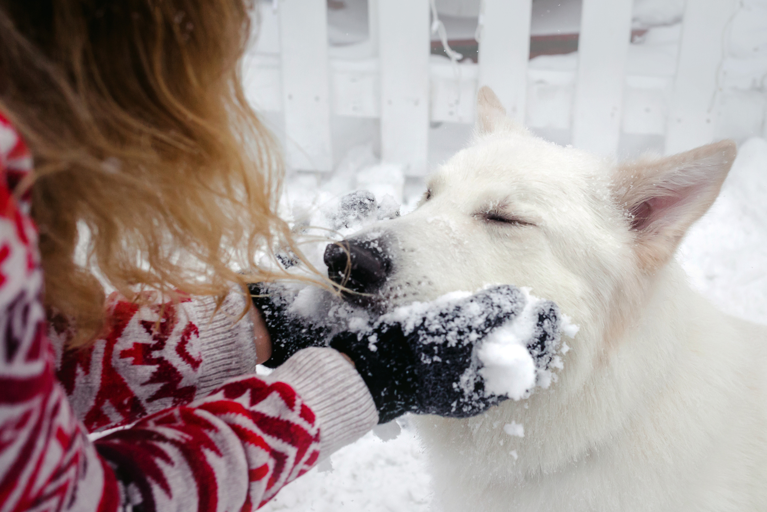 Света, Юля и Олаф